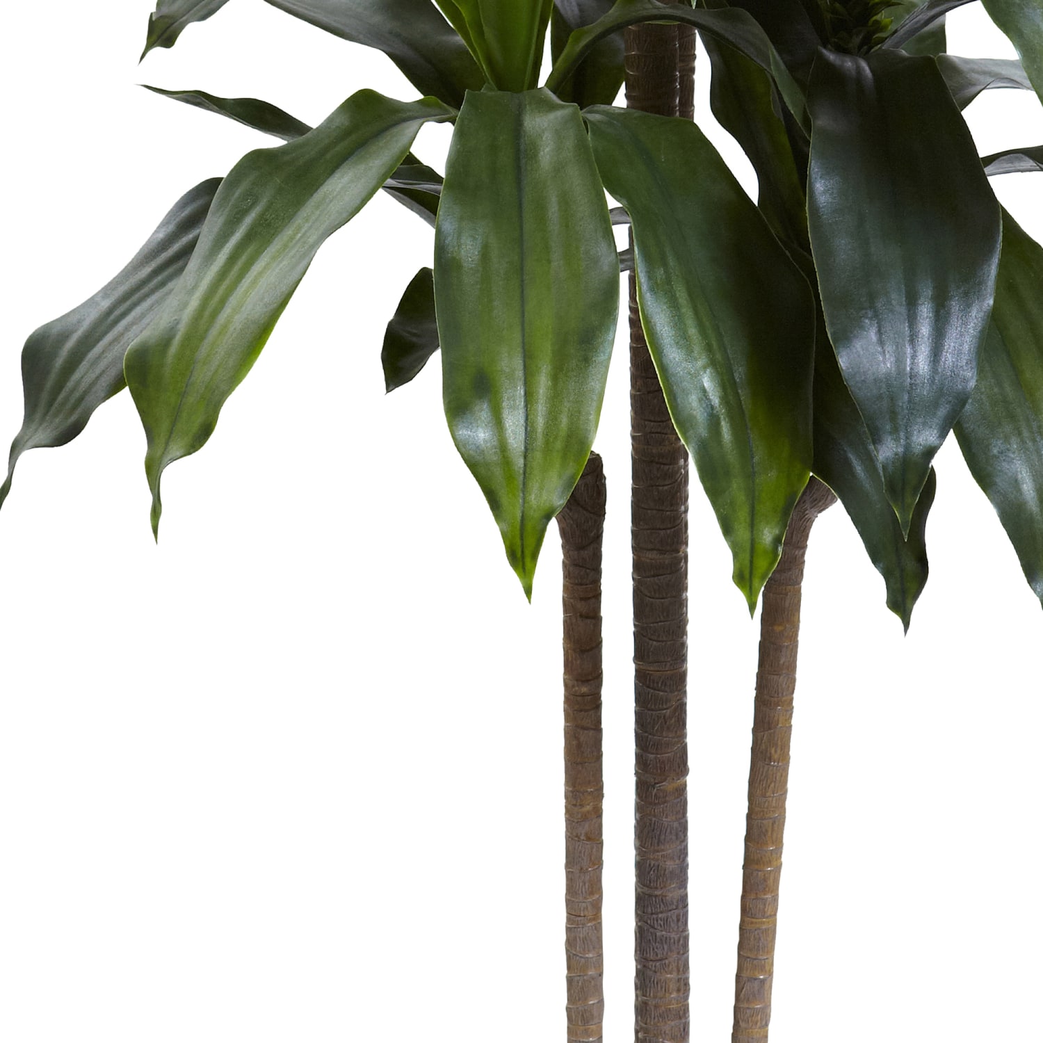Nearly Natural Dracaena 60inH Plastic UV Resistant Indoor/Outdoor Tree With Pot, 60inH x 31inW x 27inD, Green - Image 4