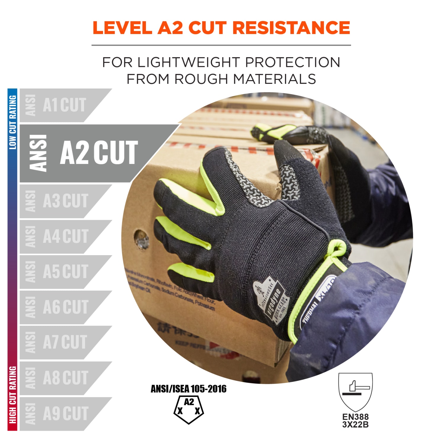 Ergodyne Proflex 850 Insulated Freezer Gloves, Large, Black - Image 5