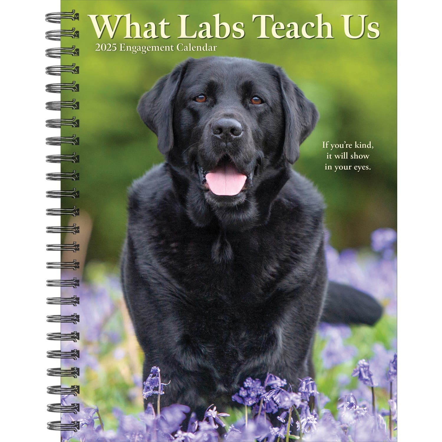 2025 Willow Creek Press Weekly Engagement Planner, 6-1/2in x 8-1/2in, What Labs Teach Us, January 2025 to December 2025, 46210