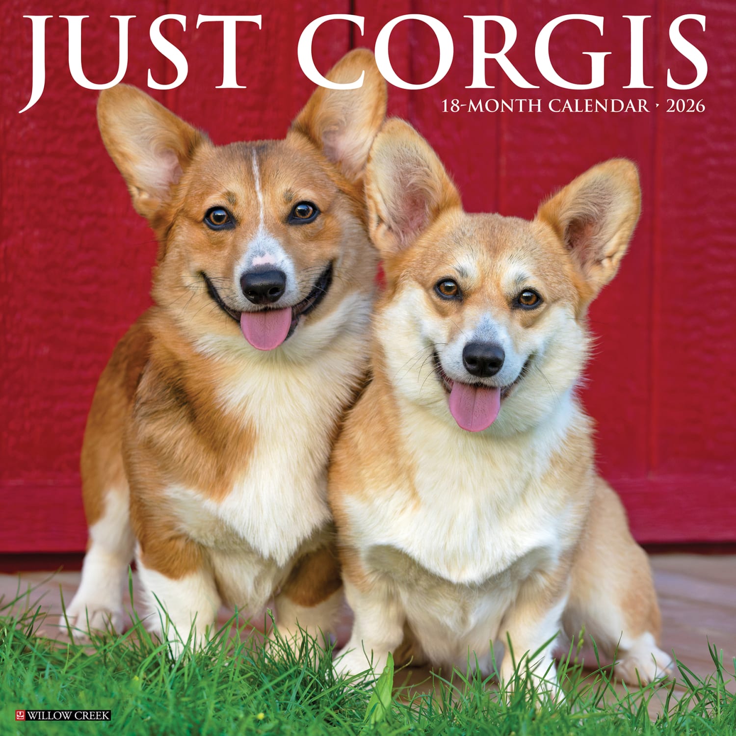 2026 Willow Creek Press Animals Monthly Wall Calendar, 12in x 12in, Corgis, January To December, 50835