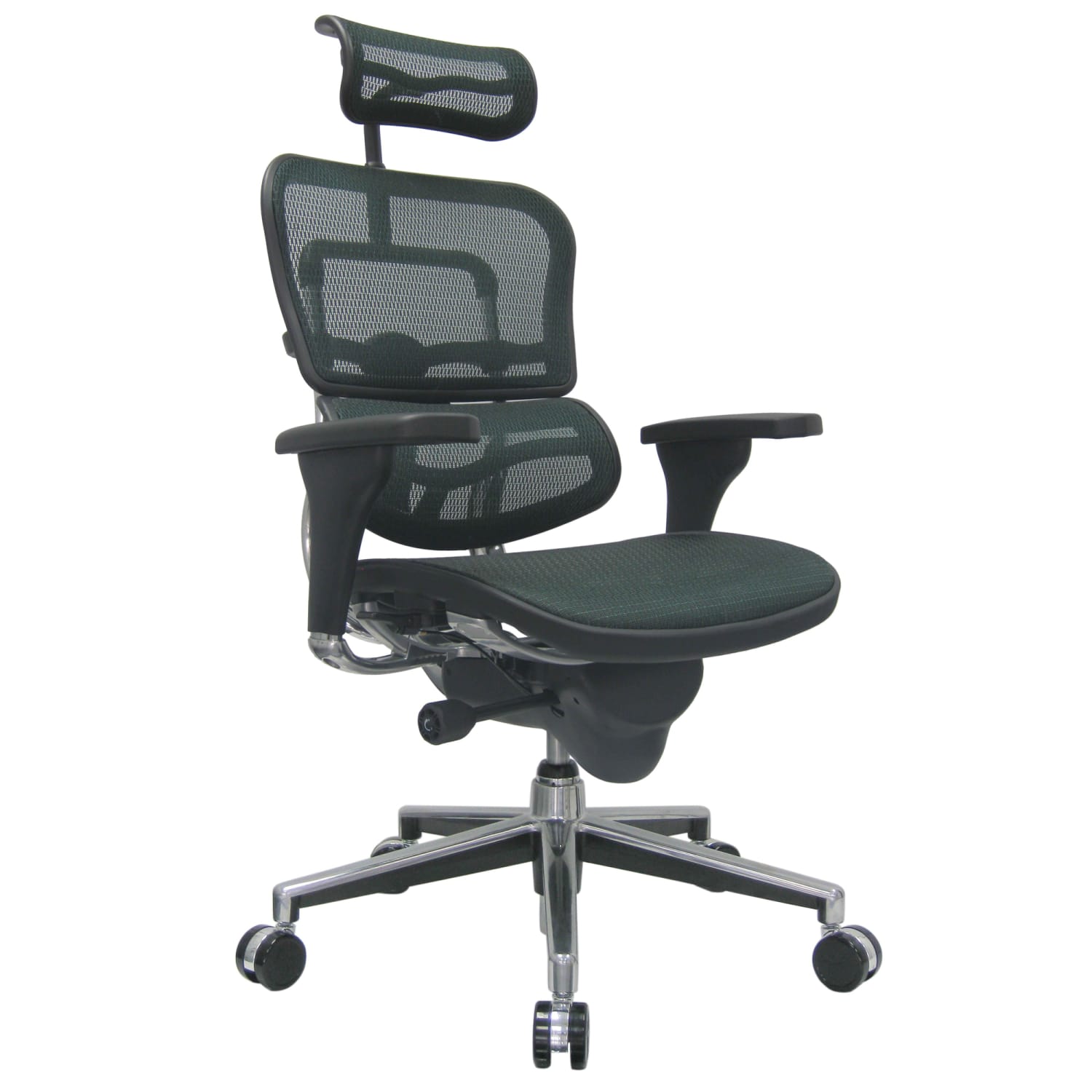 Raynor Eurotech Ergohuman Mesh High-Back Office Chair, Black/Chrome