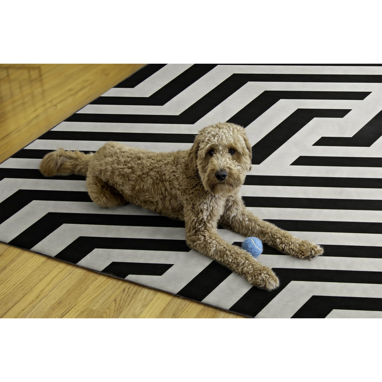 Linon Washable Outdoor Area Rug, Natrona, 5ft x 7ft, Ivory/Black - Image 5