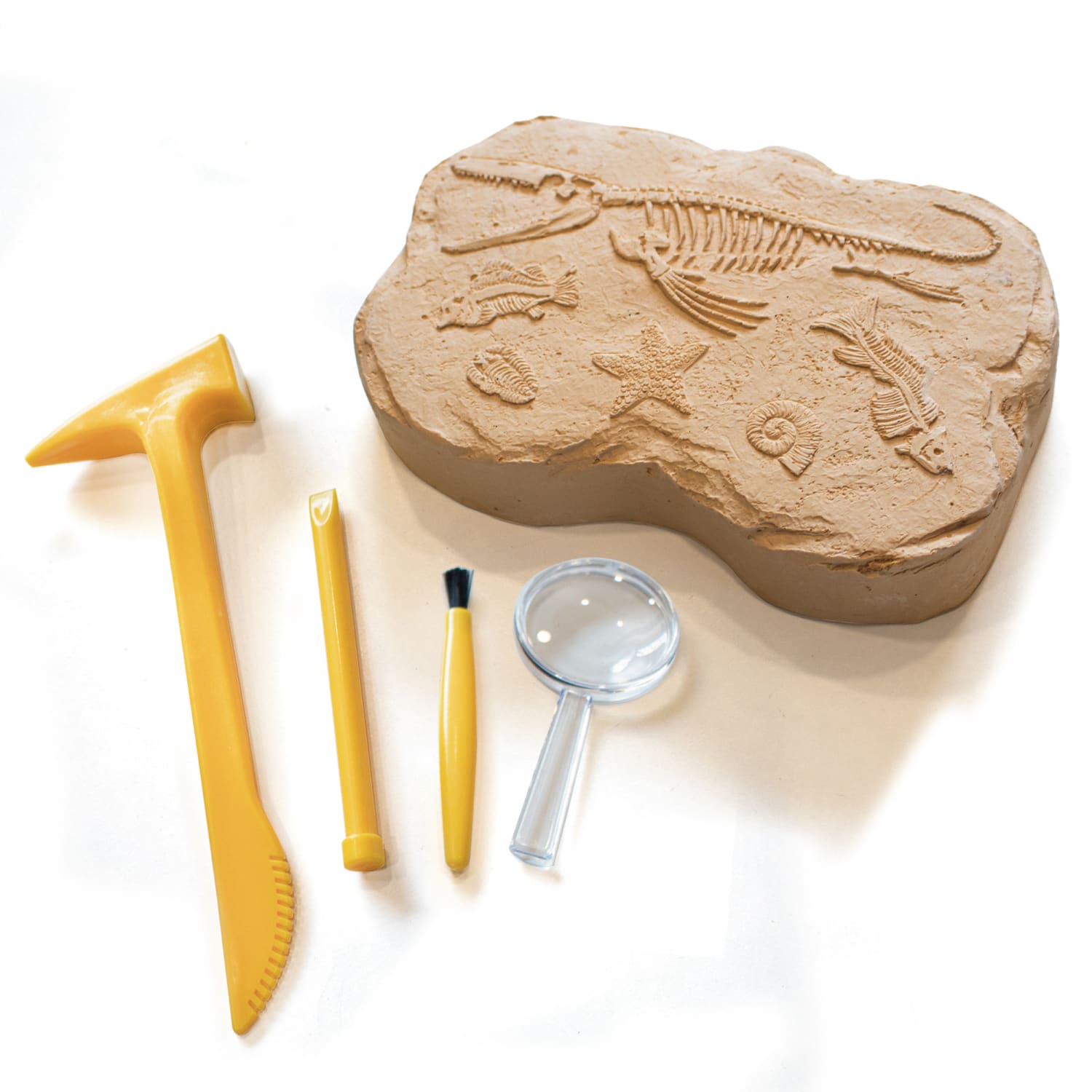 Educational Insights Geosafari Jr. Fossil Excavation Kit - Image 3