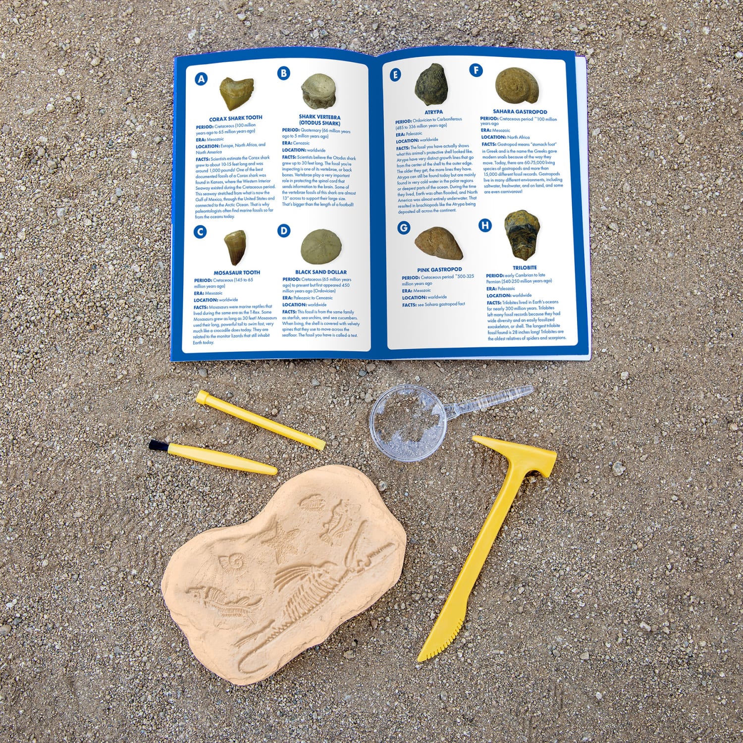 Educational Insights Geosafari Jr. Fossil Excavation Kit - Image 5