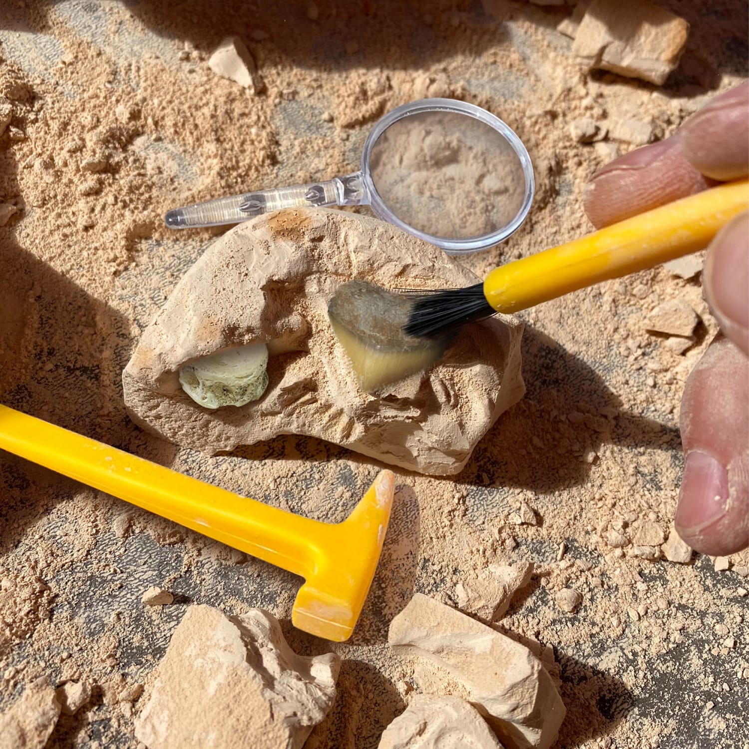 Educational Insights Geosafari Jr. Fossil Excavation Kit - Image 6