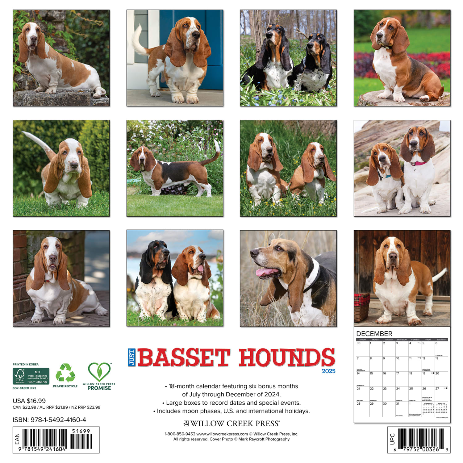 2025 Willow Creek Press Animals Monthly Wall Calendar, 12in x 12in, Basset Hounds, January To December, 41604 - Image 6
