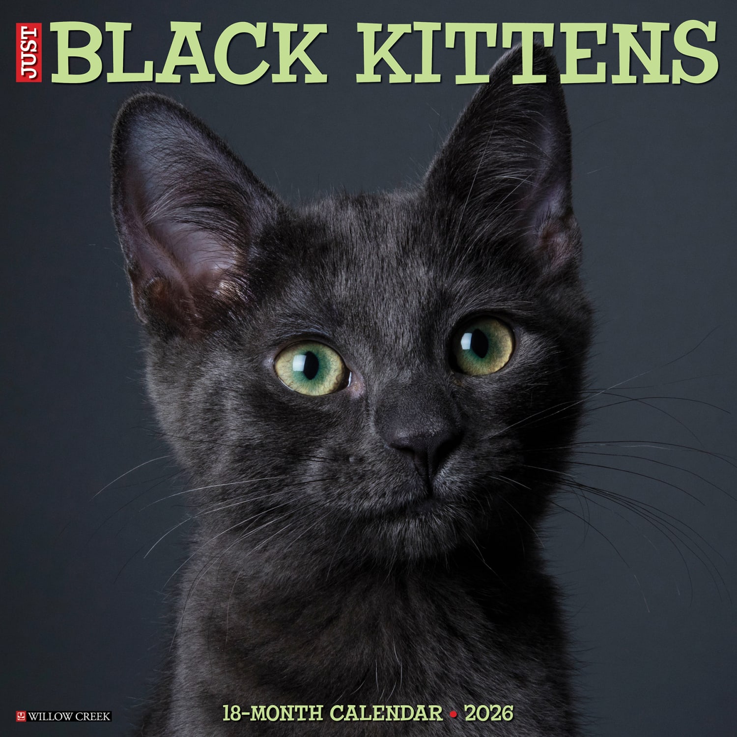 2026 Willow Creek Press Animals Monthly Wall Calendar, 12in x 12in, Black Kittens, January To December, 50293 - Image 3