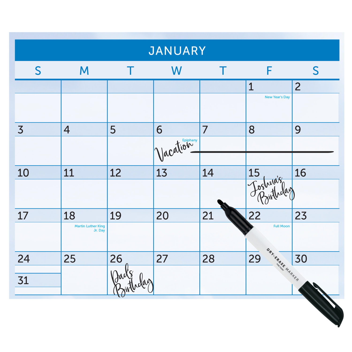 2027 Office Depot Brand Reversible Erasable Wall Calendar, 24in x 36in, Paradise, January to December - Image 5