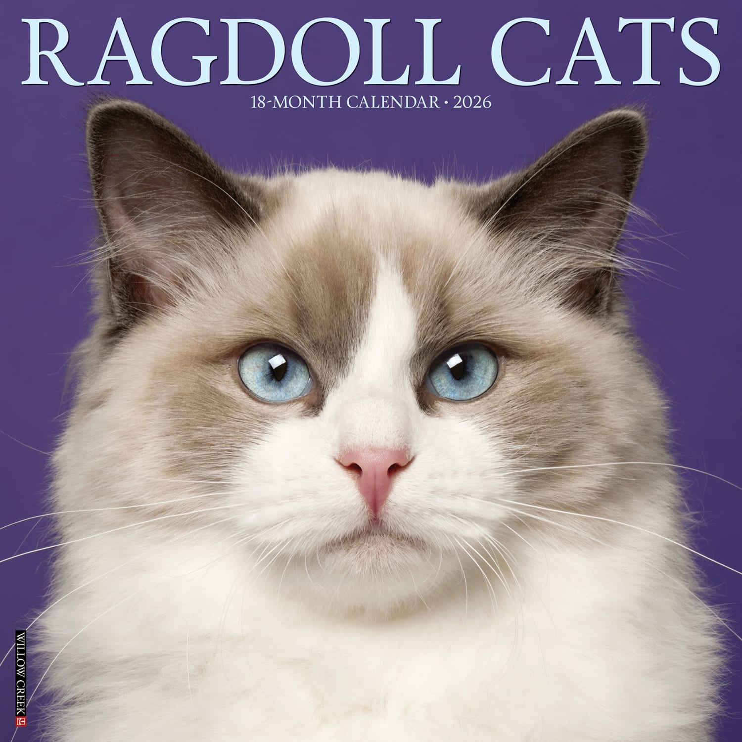 2026 Willow Creek Press Animals Monthly Wall Calendar, 12in x 12in, Ragdoll Cats, January To December, 52549