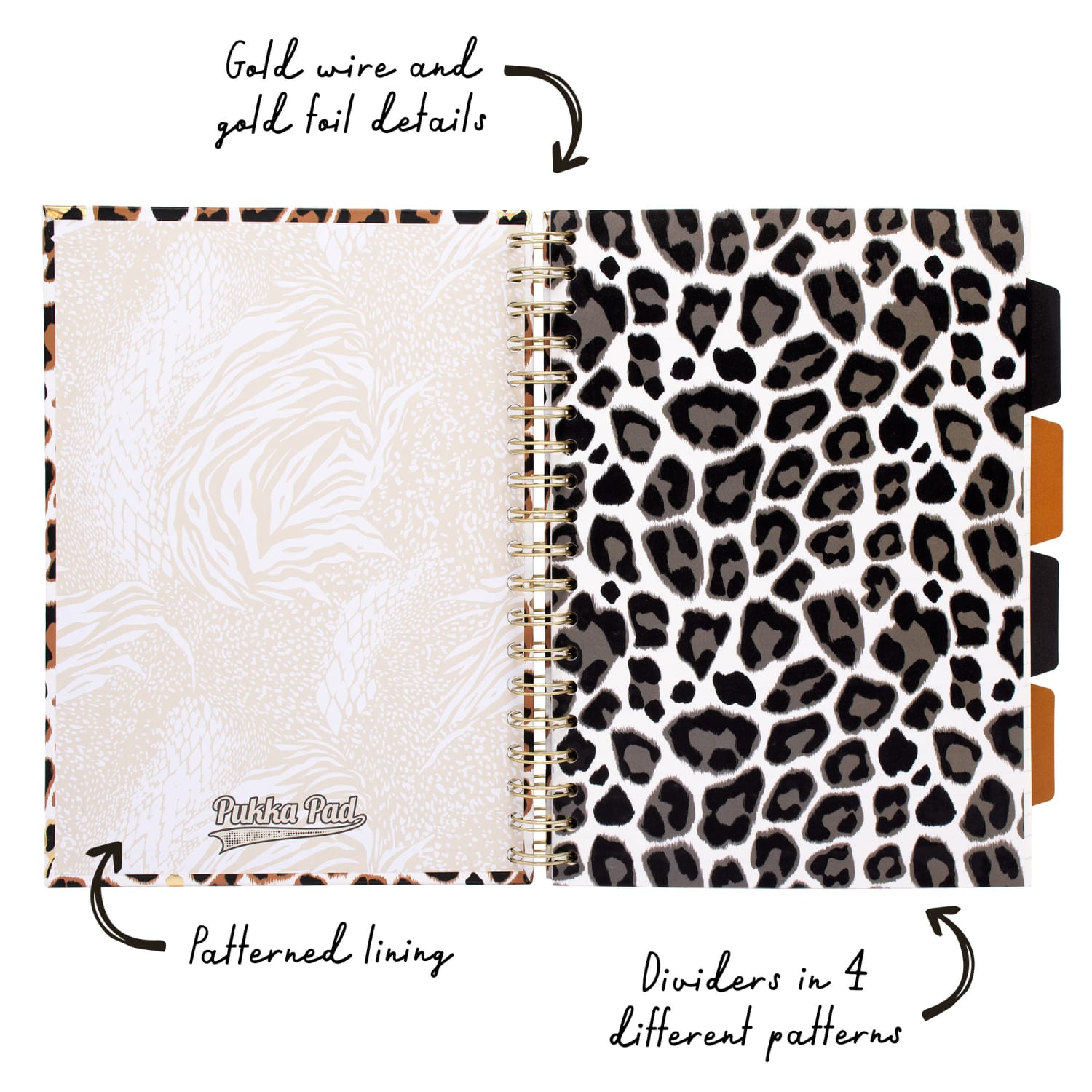 Pukka Pads B5 Project Book, Assorted Wild, Pack 2 - Image 6