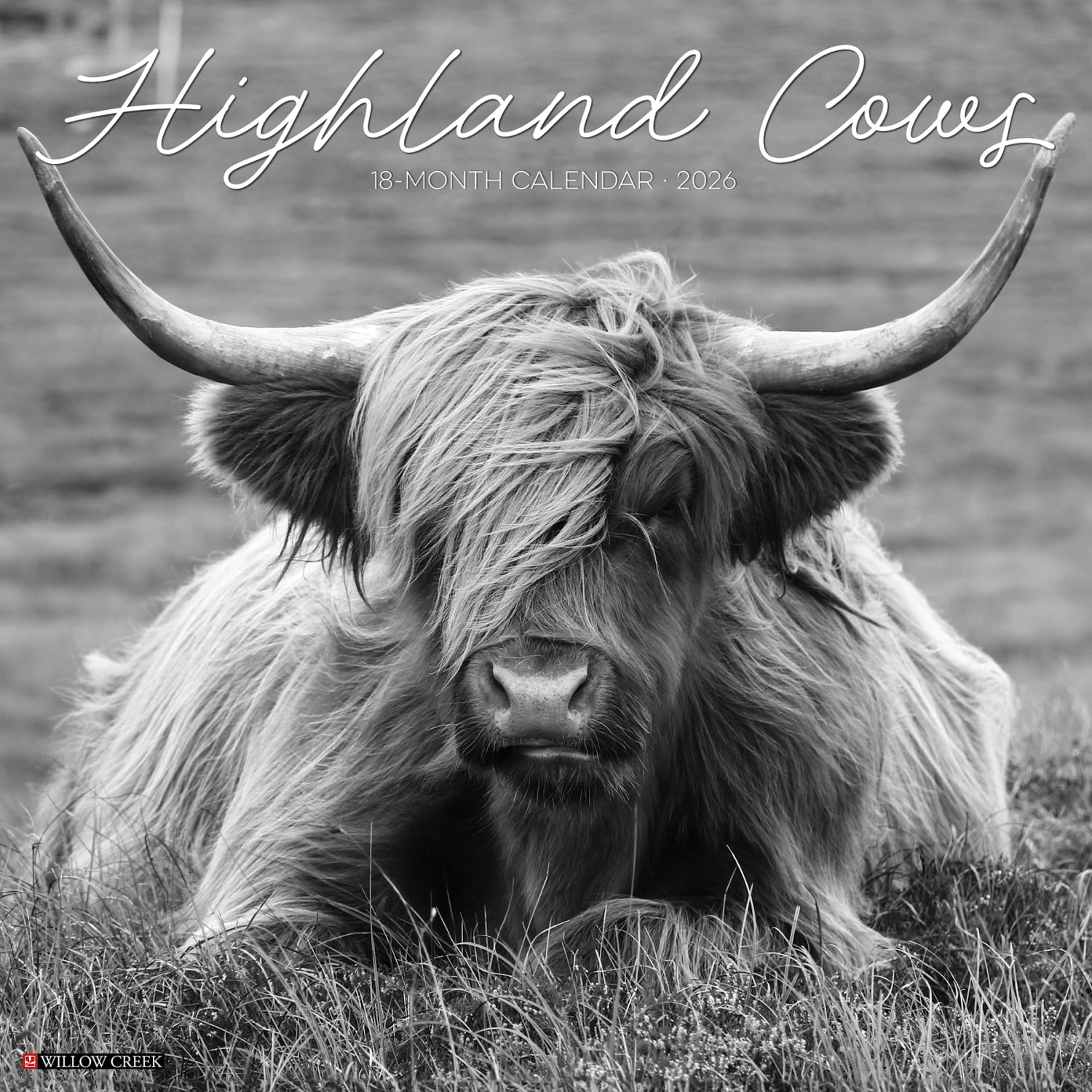 2026 Willow Creek Press Animals Monthly Wall Calendar, 12in x 12in, Highland Cows B&W, January To December, 55847