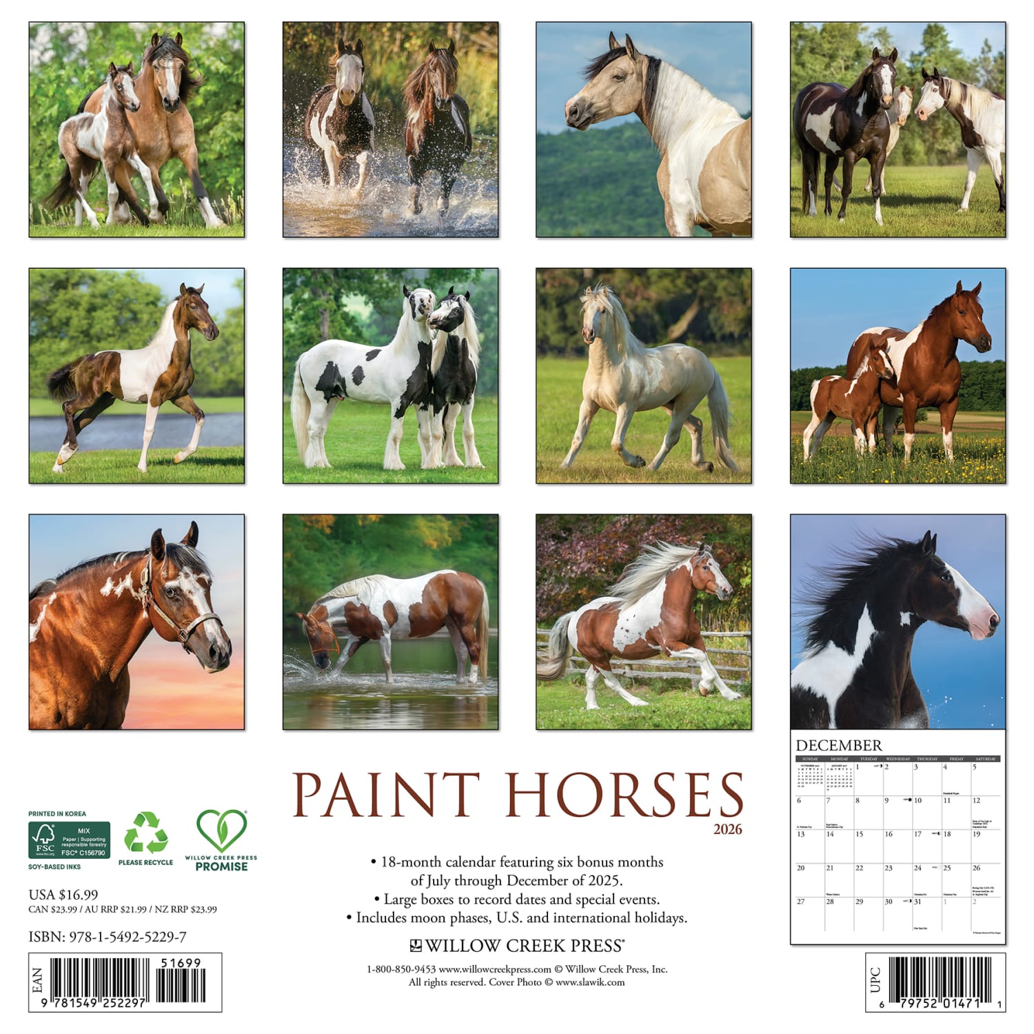 2026 Willow Creek Press Animals Monthly Wall Calendar, 12in x 12in, Paint Horses, January To December, 52297 - Image 6