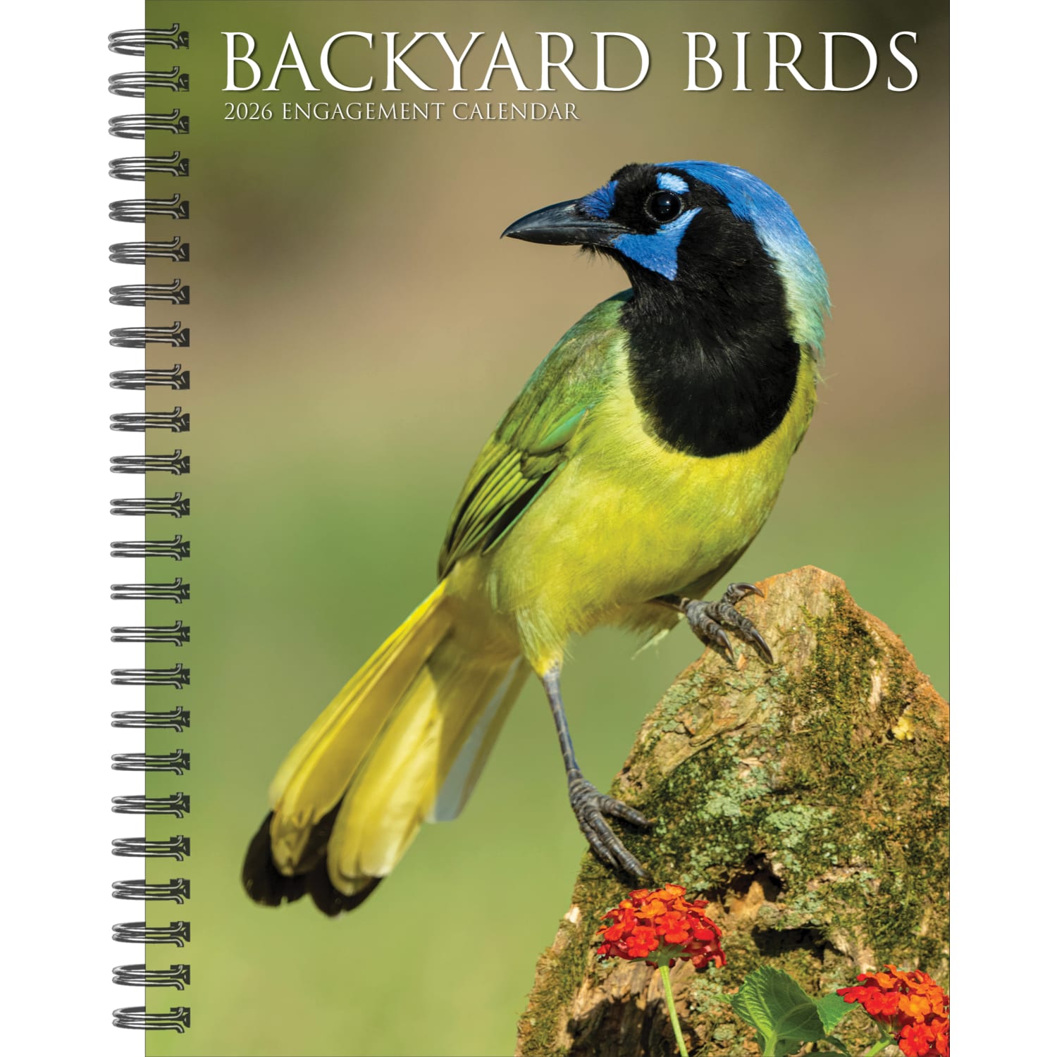 2026 Willow Creek Press Weekly Engagement Calendar, 6-1/2in x 8-1/2in, Backyard Beauties, January To December, 54574 - Image 3