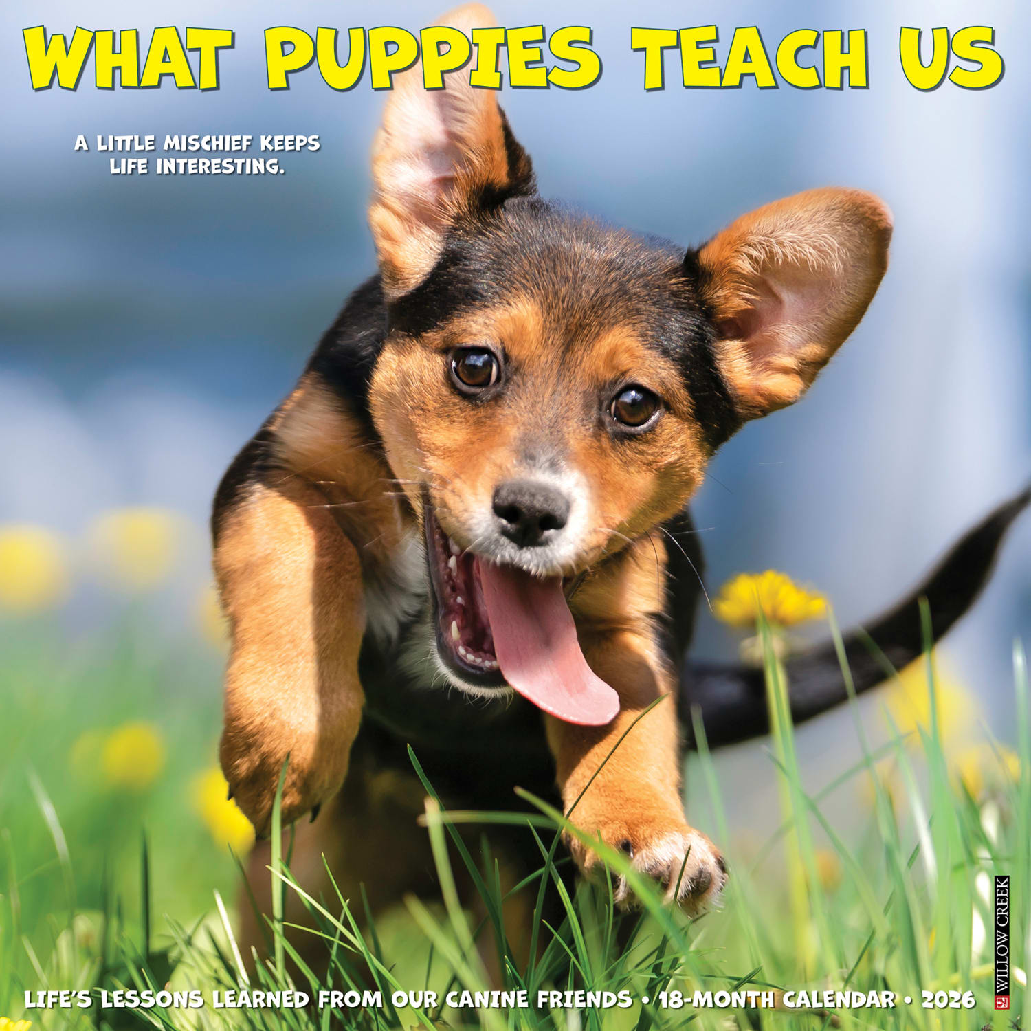 2026 Willow Creek Press Animals Monthly Wall Calendar, 12in x 12in, What Puppies Teach Us, January To December, 53225