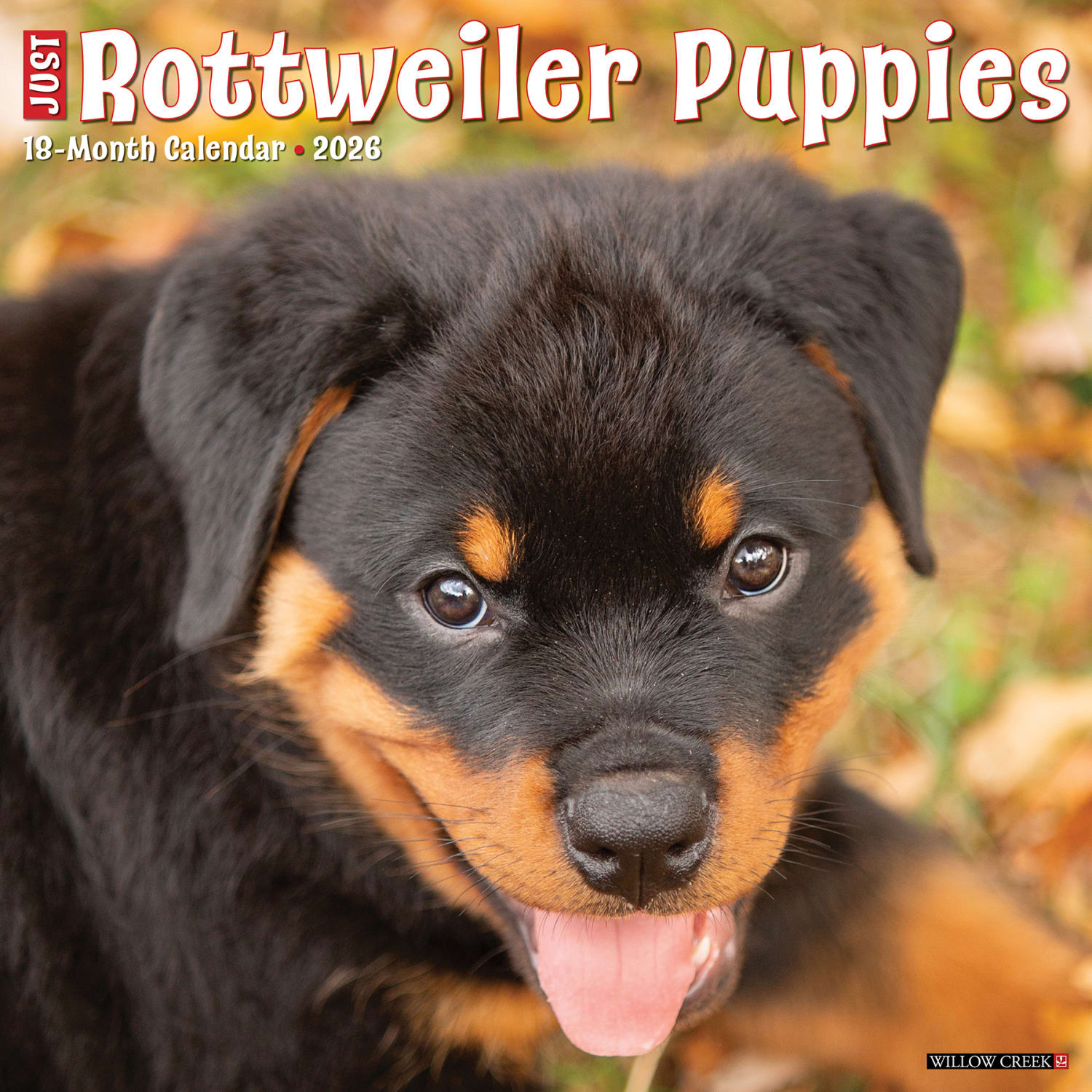 2026 Willow Creek Press Animals Monthly Wall Calendar, 12in x 12in, Rottweiler Puppies, January To December, 52600