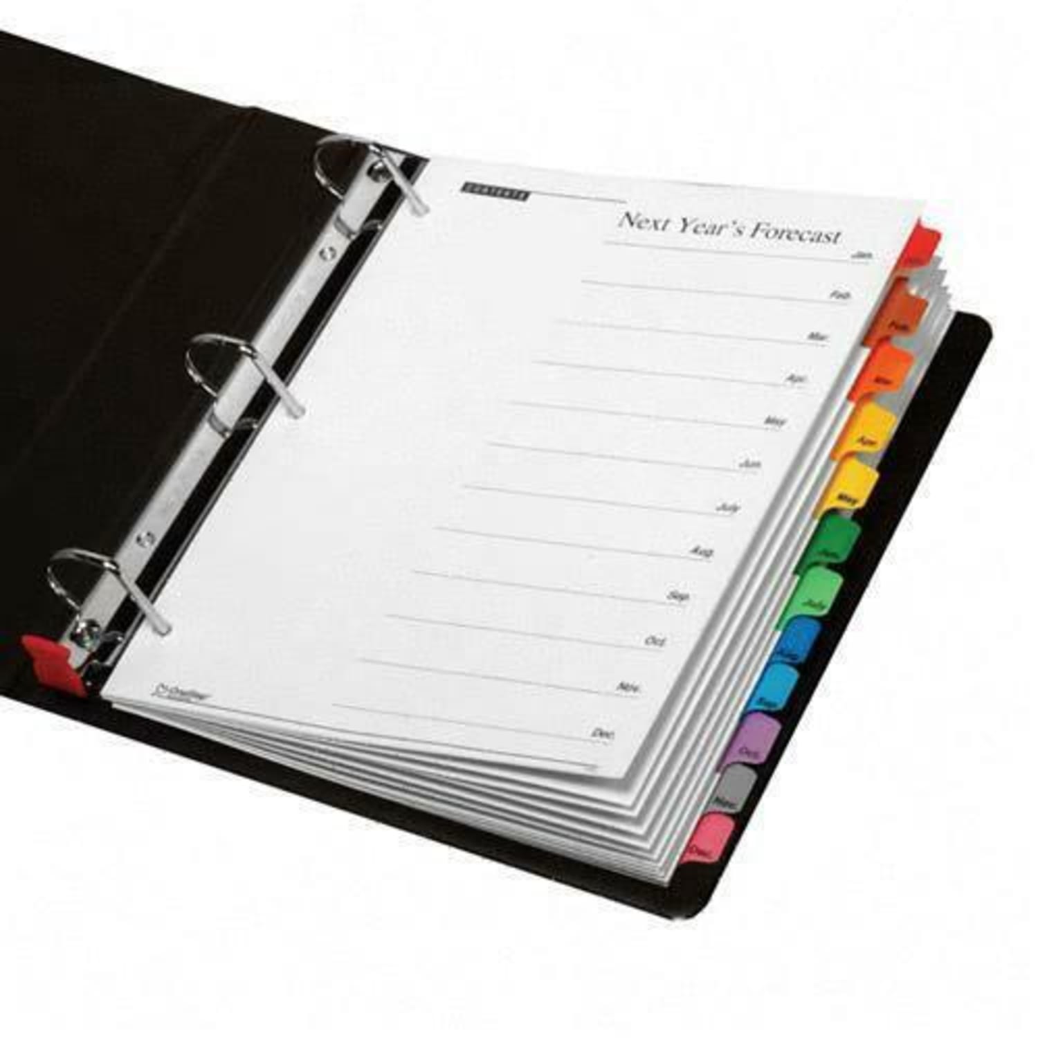 Cardinal OneStep Index System, January - December, Multicolor - Image 3