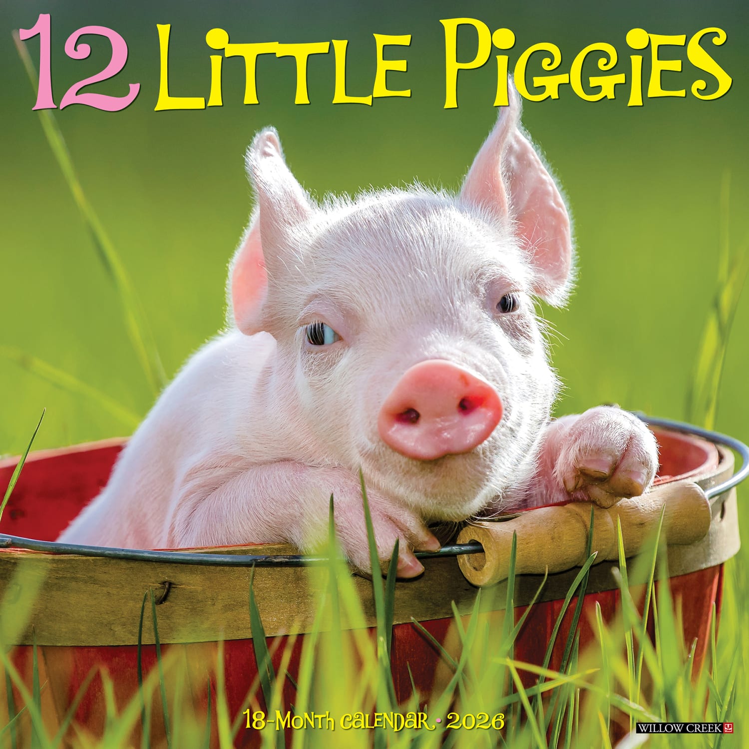 2026 Willow Creek Press Animals Monthly Wall Calendar, 12in x 12in, 12 Little Piggies, January To December, 55298