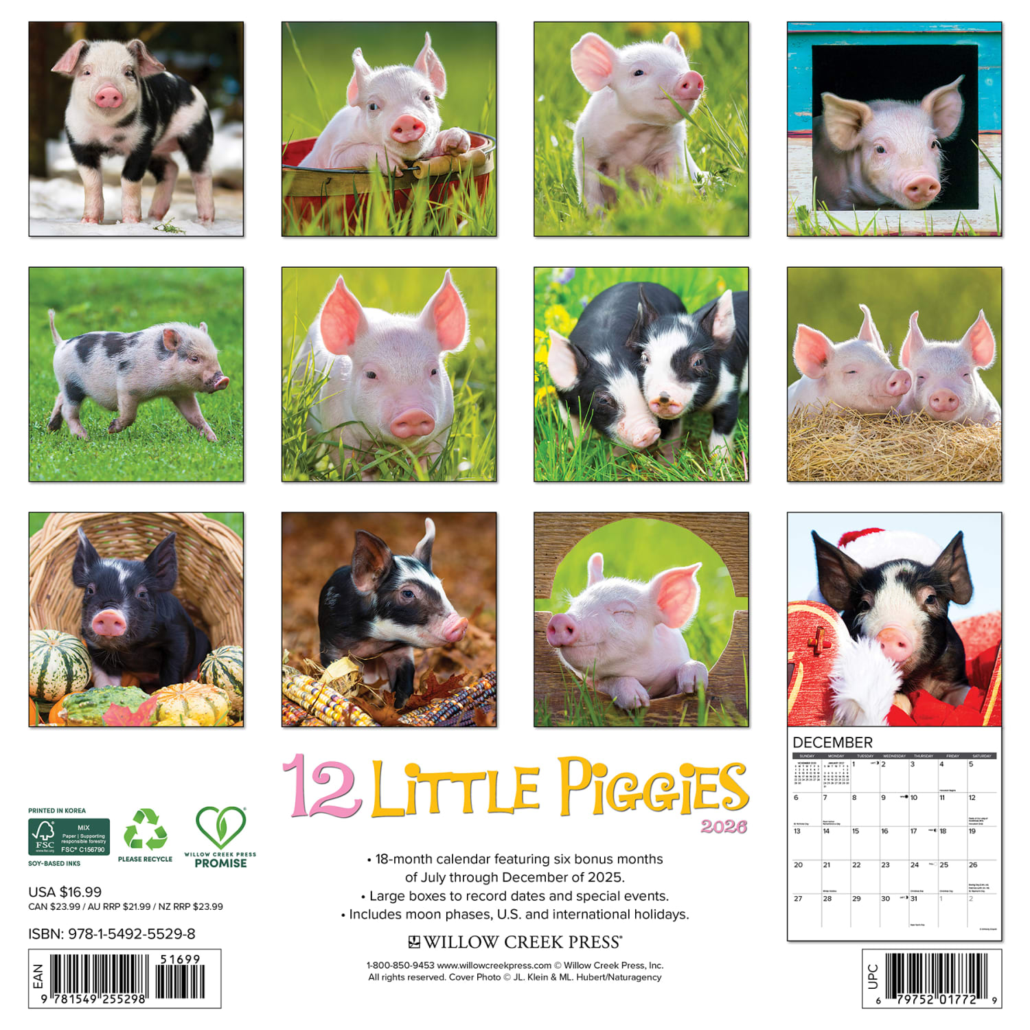 2026 Willow Creek Press Animals Monthly Wall Calendar, 12in x 12in, 12 Little Piggies, January To December, 55298 - Image 6