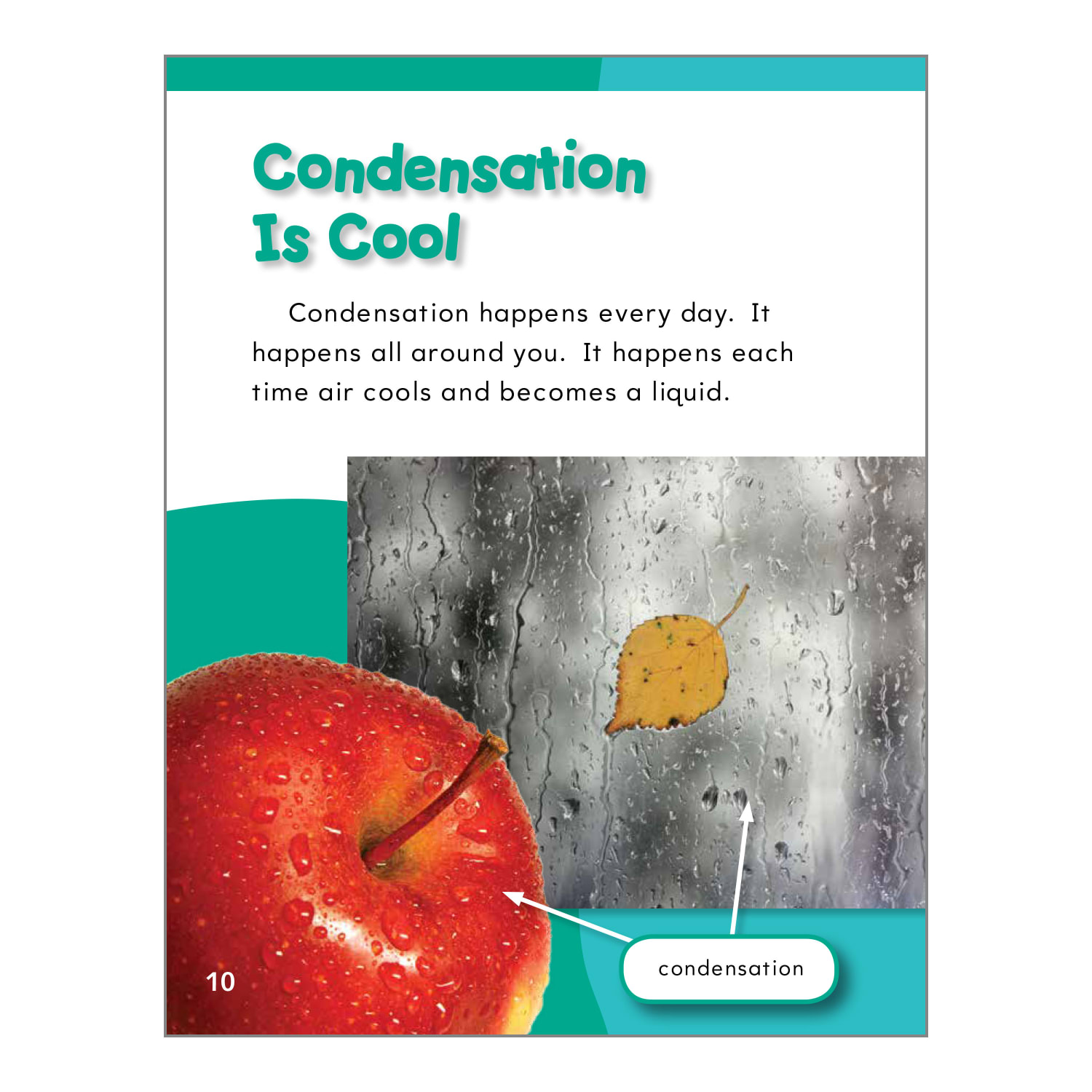 Teacher Created Materials Matter Matters Book Set, Grades K - 2, Set Of 5 Books - Image 6