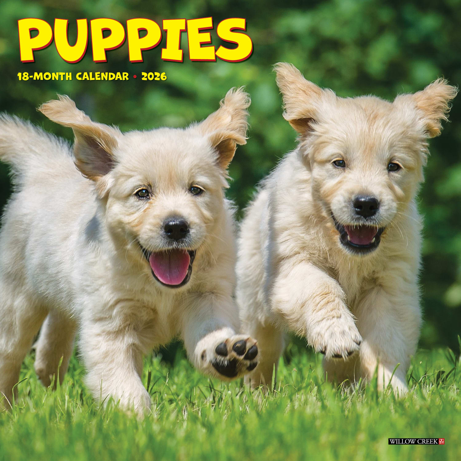 2026 Willow Creek Press Monthly Mini Wall Calendar, 7in x 7in, Puppies, January To December, 53737