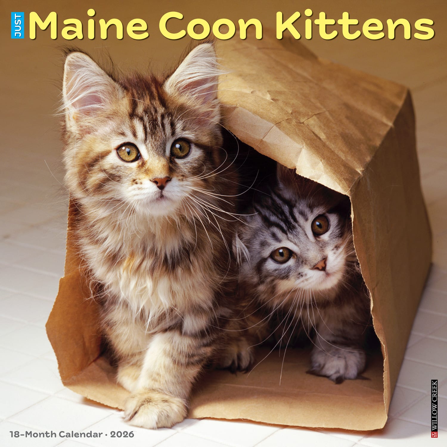 2026 Willow Creek Press Animals Monthly Wall Calendar, 12in x 12in, Maine Coon Kittens, January To December, 51856 - Image 3