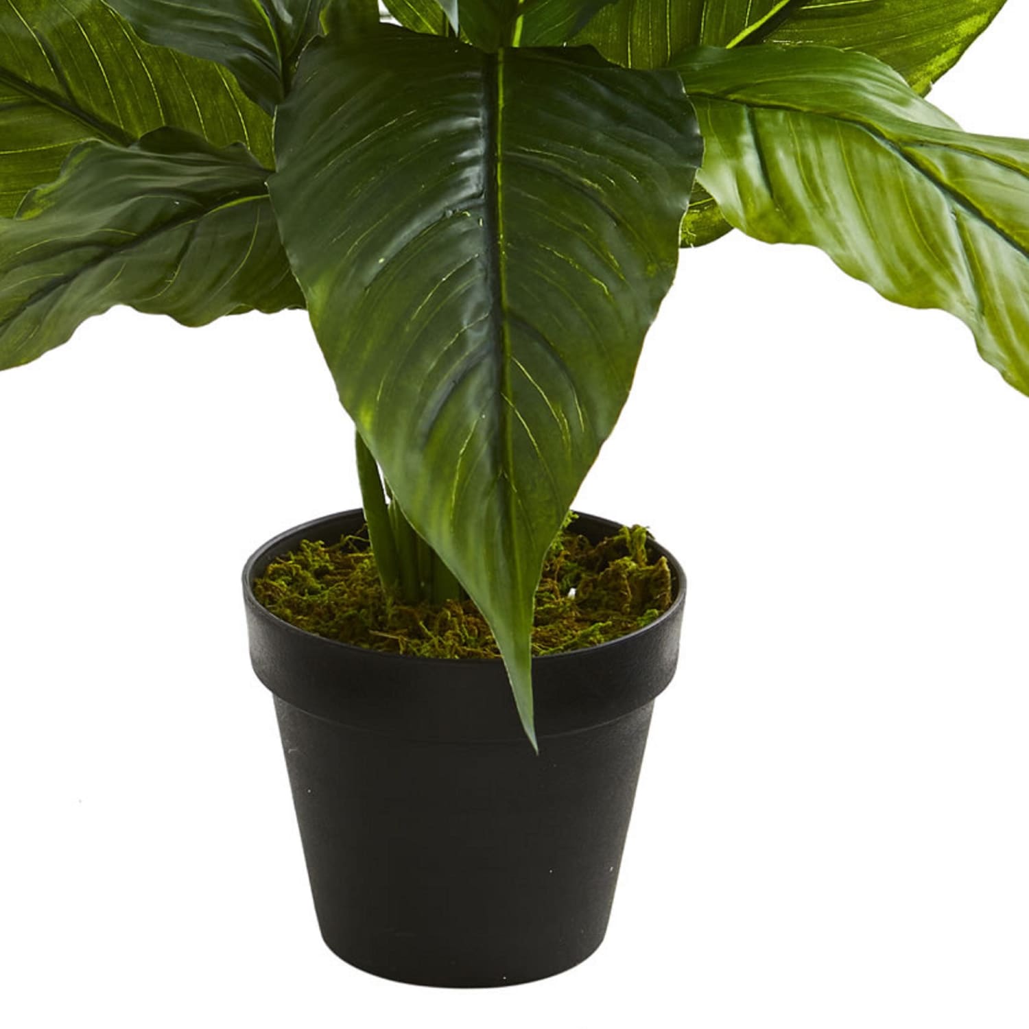 Nearly Natural 26inH Real Touch Spathiphyllum Artificial Plant, 26inH x 13inW x 10inD, Green/Black - Image 4