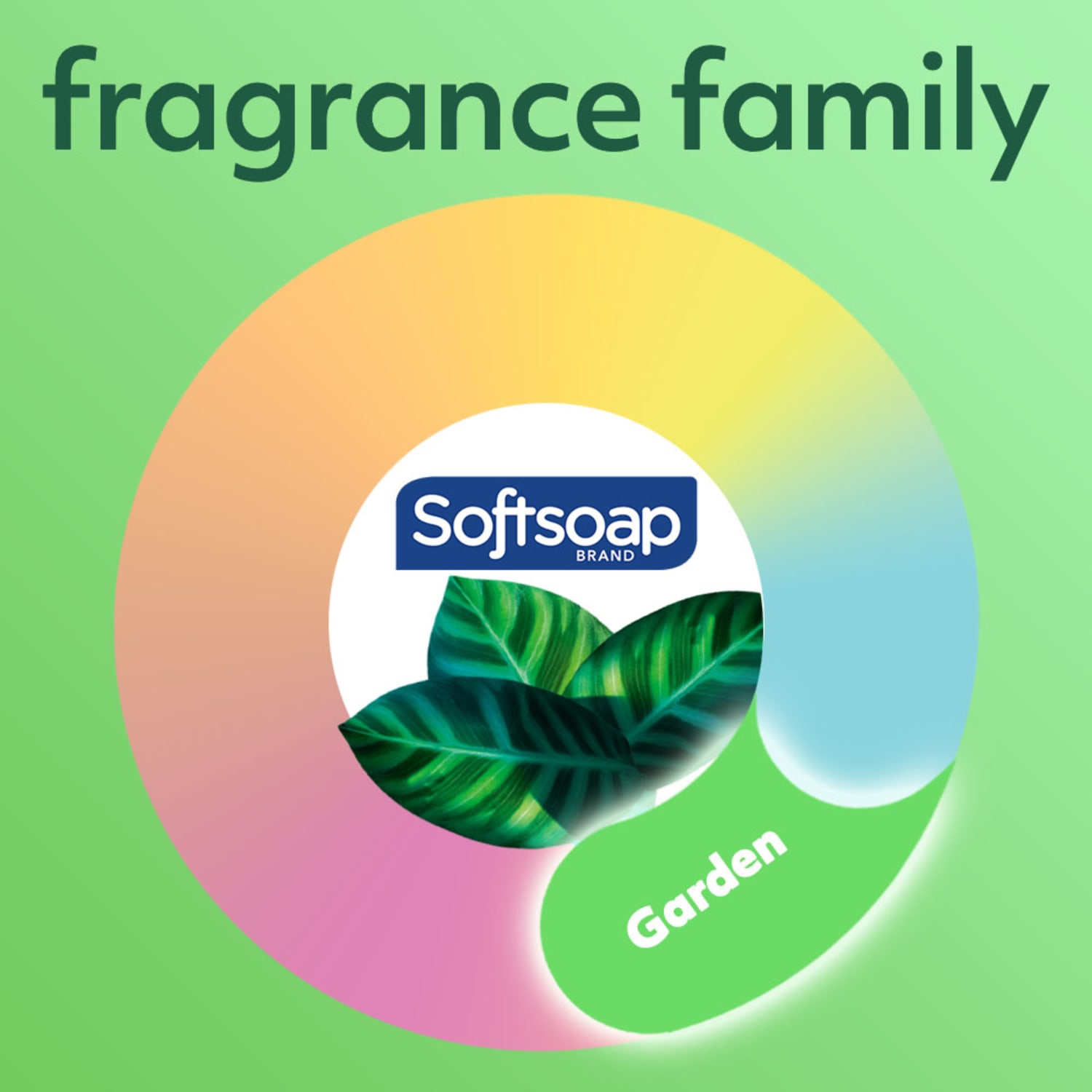Softsoap Moisturizing Liquid Hand Soap, Soothing Clean with Aloe Scent, 7.5 Oz Pump Bottle - Image 3