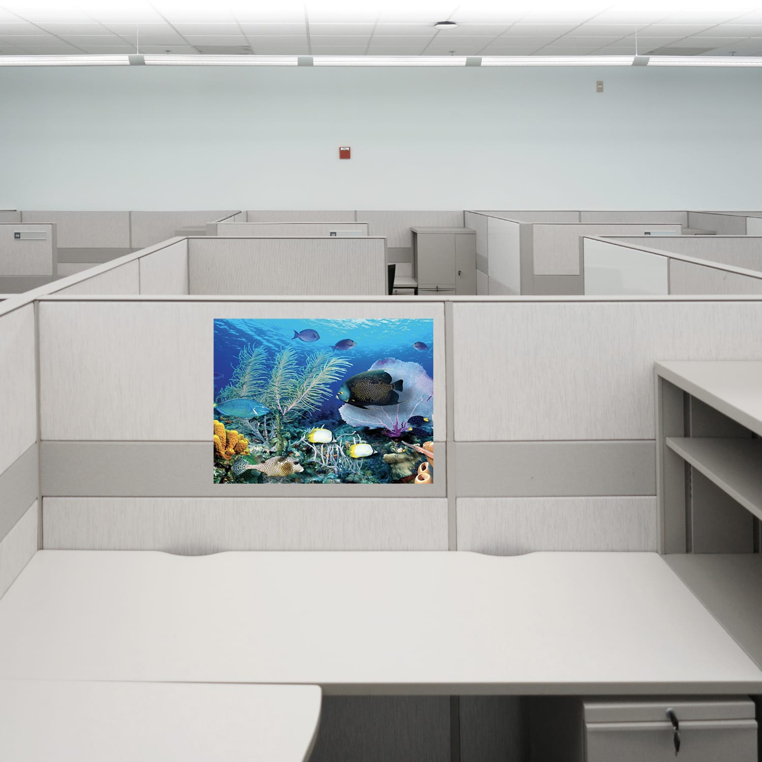 Biggies Landscape/Seascape Mural, 24in x 18in, Unframed, Ocean Reef - Image 3