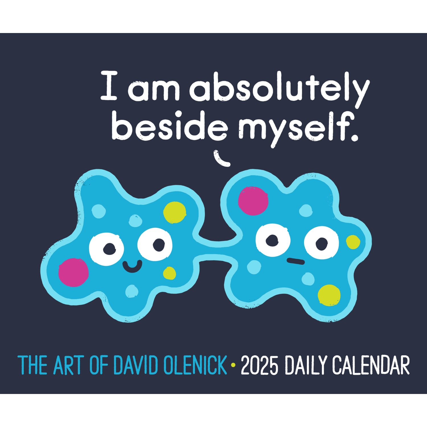 2025 Willow Creek Press Daily Desk Box Calendar, Humor & Comics, 5-1/2in x 6-1/4in, The Art of David Olenick Puns, January To December, 41048 - Image 5