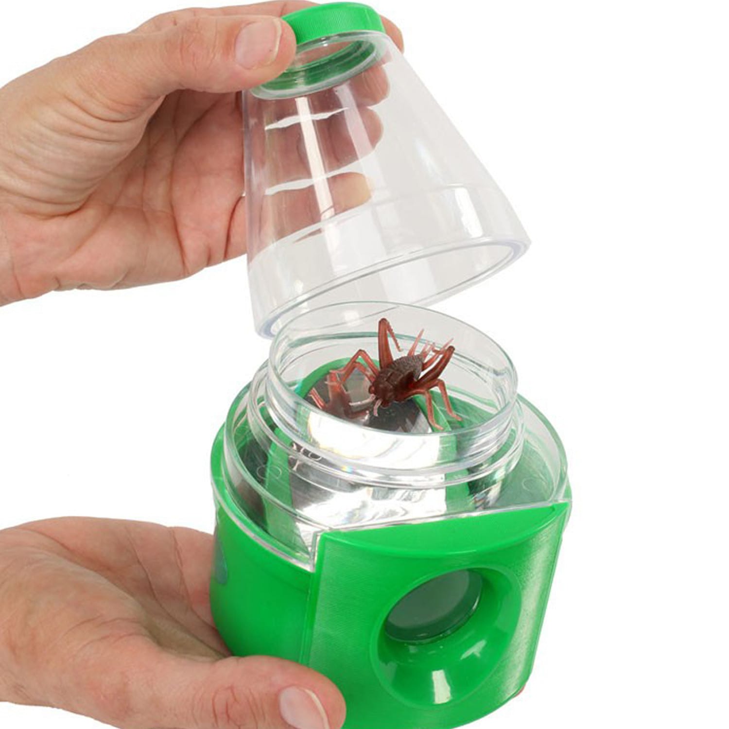 Insect Lore Creature Peeper Above-Below 3D View, Pack Of 2 - Image 5