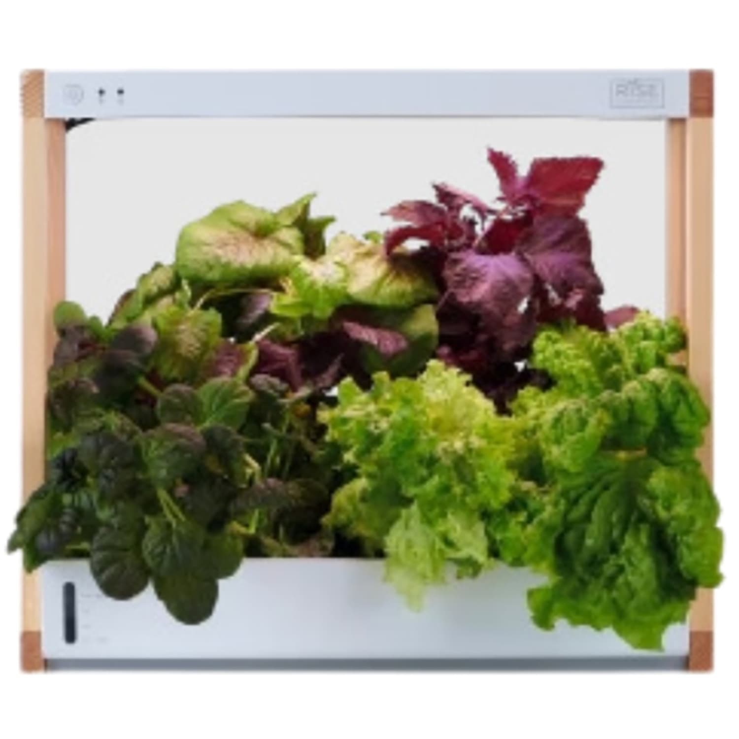 RISE GARDENS Personal Rise Garden Hydroponic System, 16in - Image 3