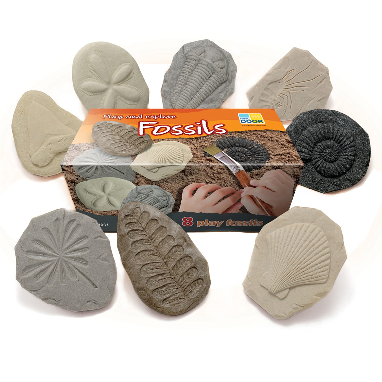 Yellow Door Lets Investigate Stones, Fossil, Pack Of 8 Stones