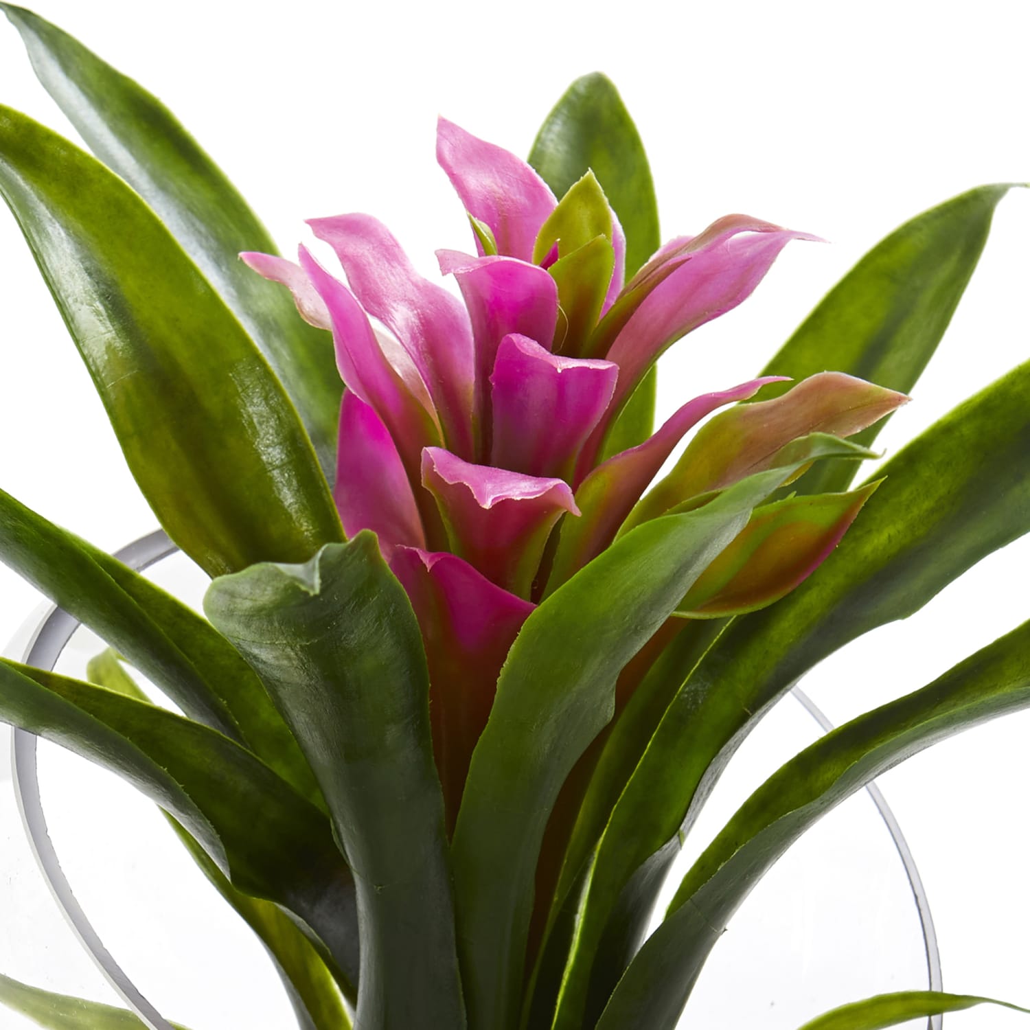 Nearly Natural Tropical Bromeliad 8inH Artificial Floral Arrangement With Angled Vase, 8inH x 6inW x 6inD, Purple - Image 3