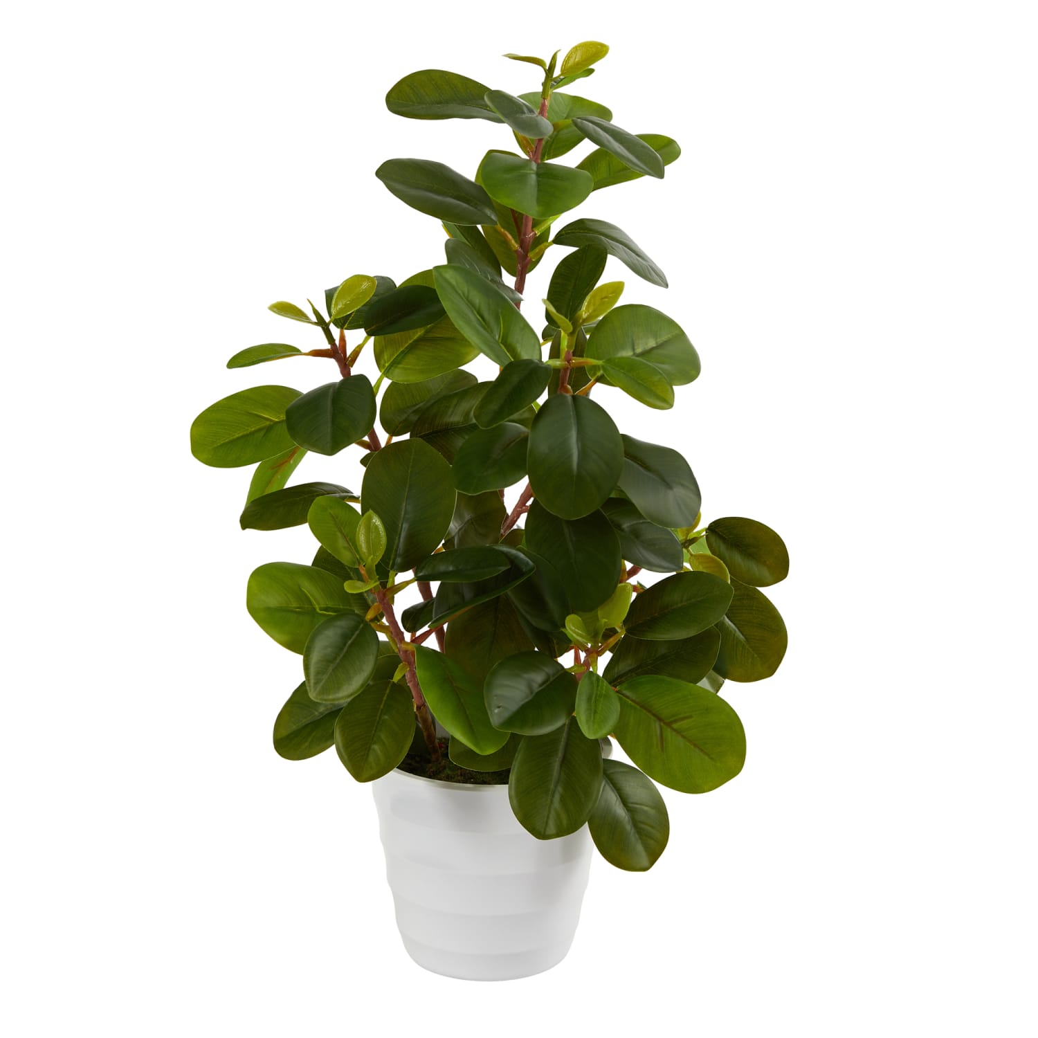 Nearly Natural Peperomia 16inH Artificial Plant With Decorative Planter, 16inH x 6inW x 6inD, Green/White