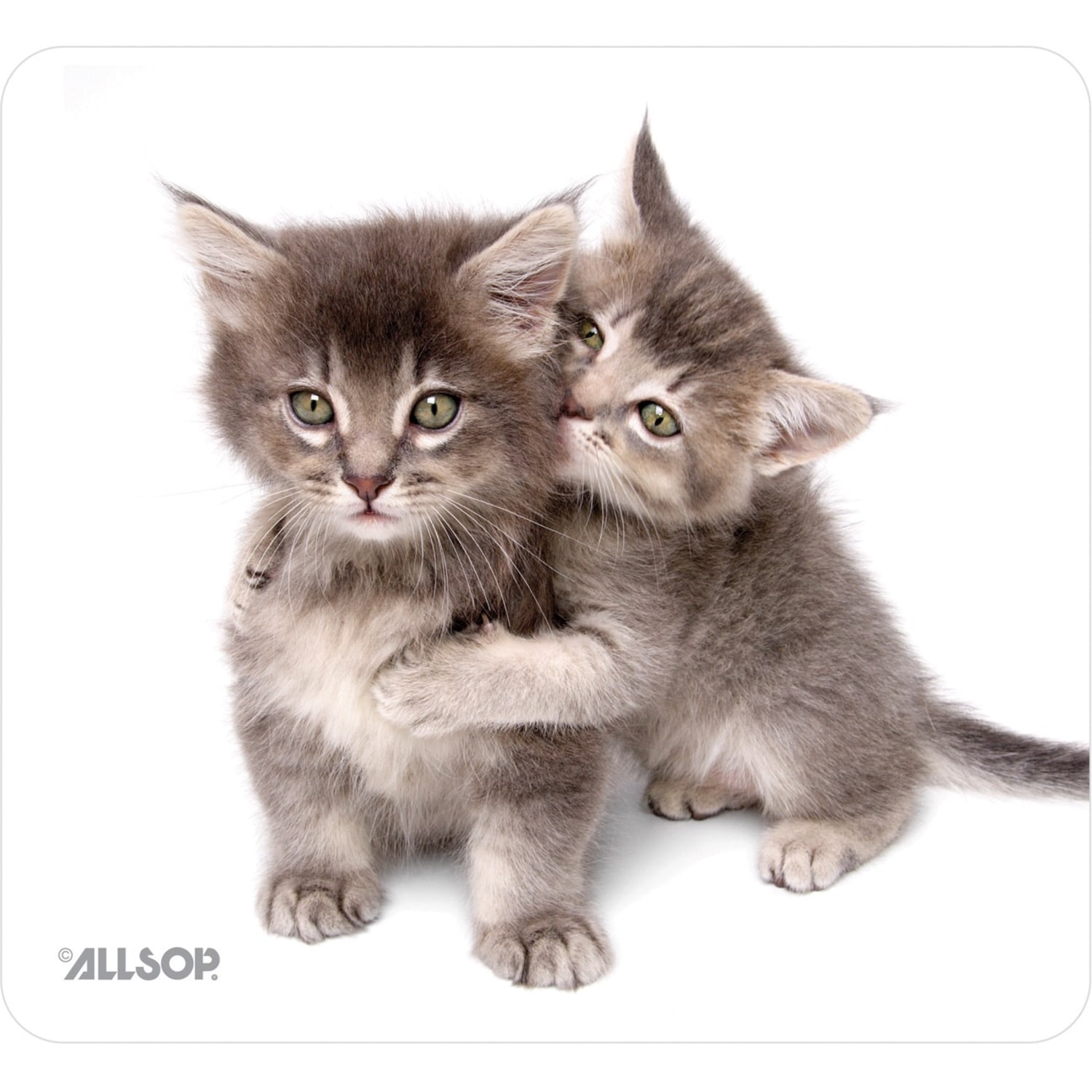 Allsop Naturesmart Mouse Pad, 8.5in x 8in, Kitten - Image 3