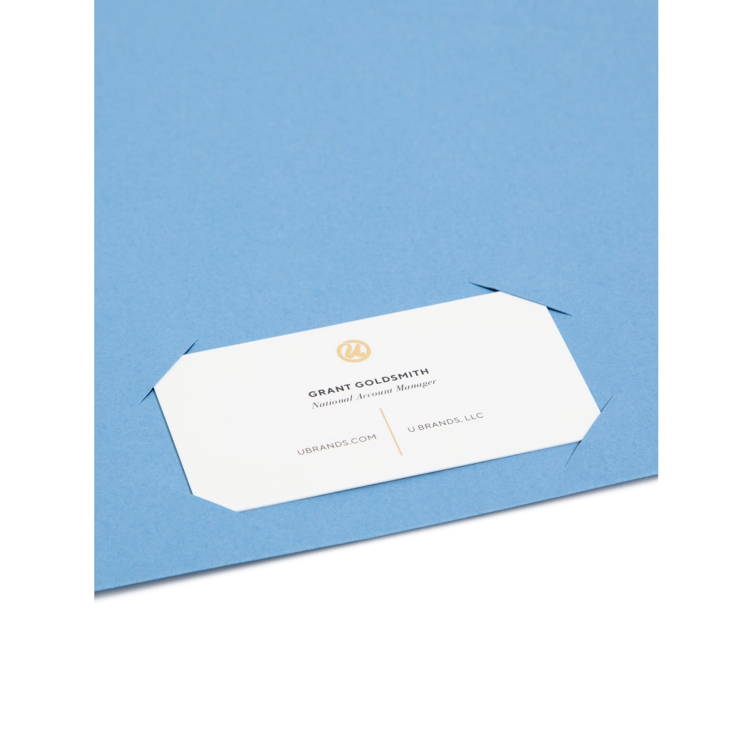 Smead Slash File Jackets Convenience Pack, 9 1/2in x 11 3/4in, Blue, Pack Of 25 - Image 4