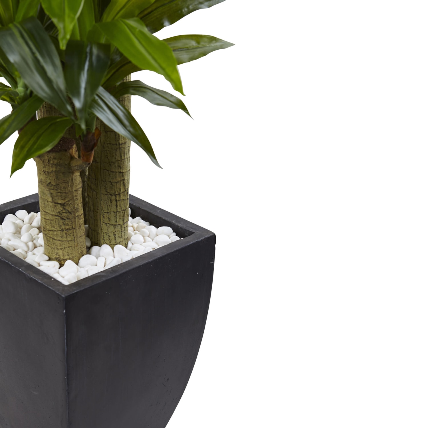 Nearly Natural 5-1/2ftH Polyethylene Cornstalk Dracaena Plant With Clay Planter, Black Wash/Green - Image 3