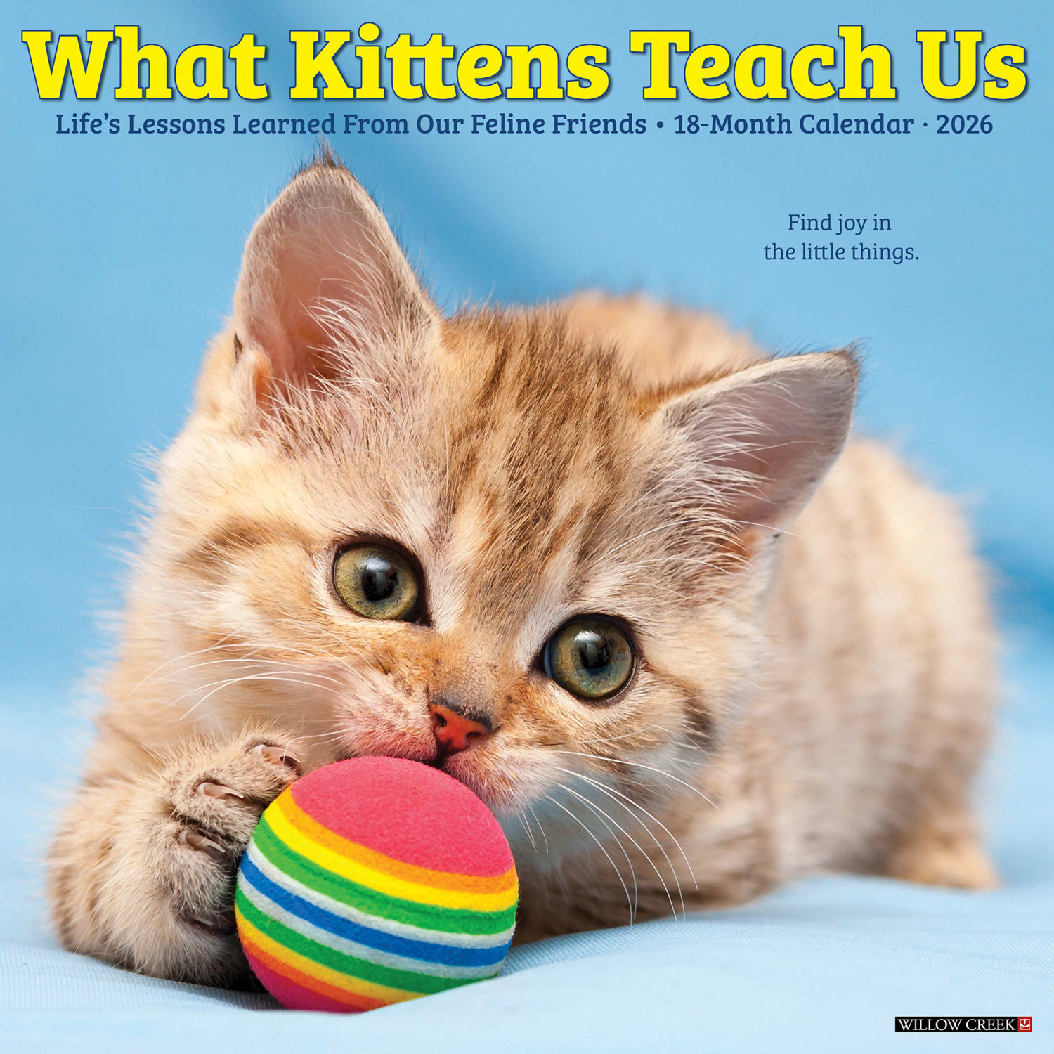 2026 Willow Creek Press Animals Monthly Wall Calendar, 12in x 12in, What Kittens Teach Us, January To December, 53201
