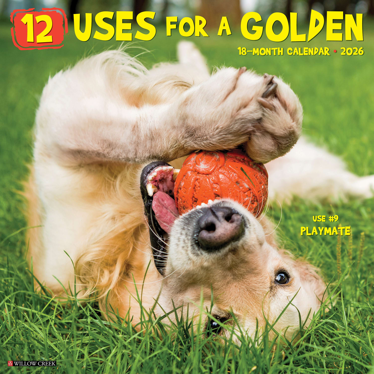 2026 Willow Creek Press Animals Monthly Wall Calendar, 12in x 12in, 12 Uses for a Golden, January To December, 49730 - Image 3