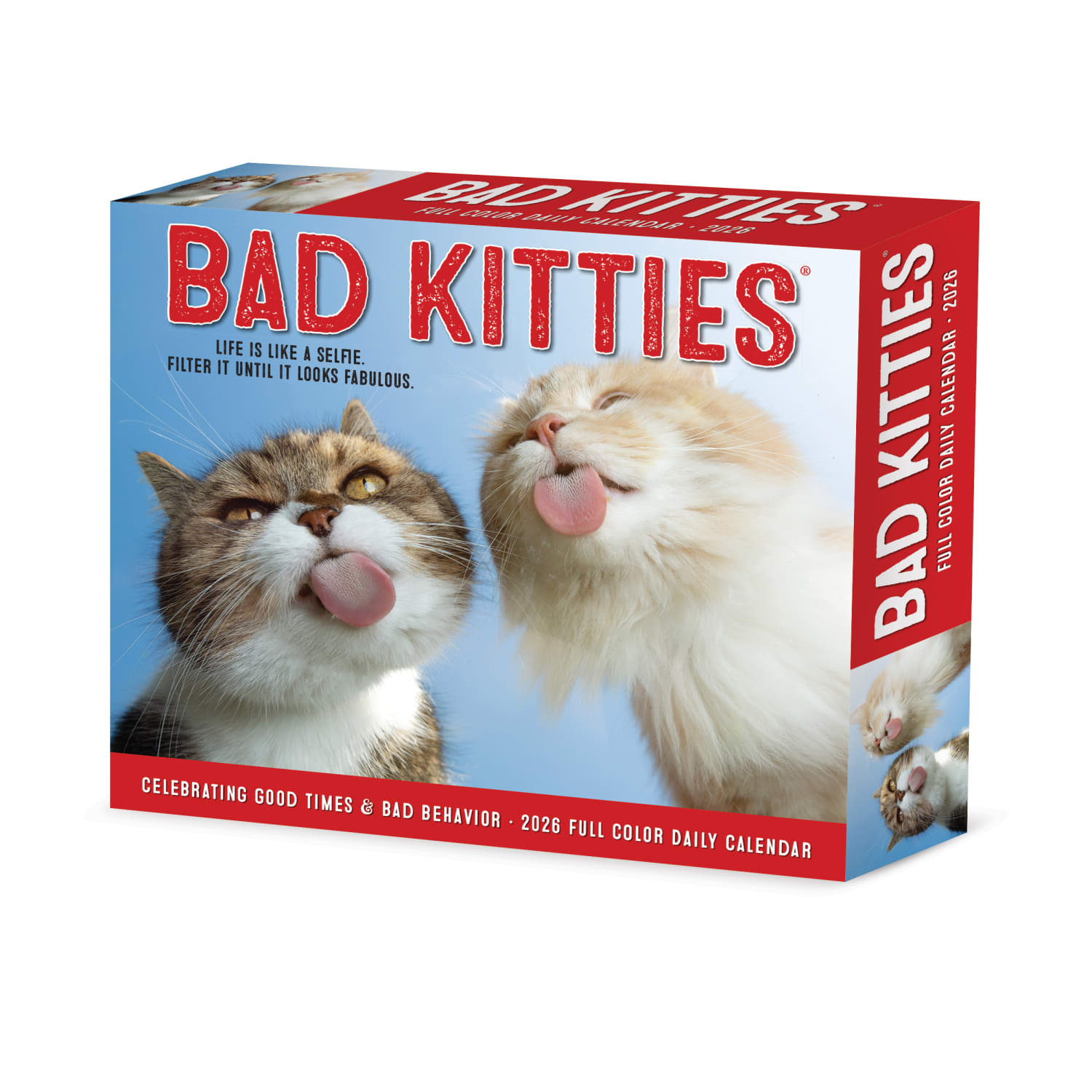 2026 Willow Creek Press Page-A-Day Daily Desk Calendar, 6-1/4in x 5-1/2in, Bad Kitties, January To December, 53959 - Image 3