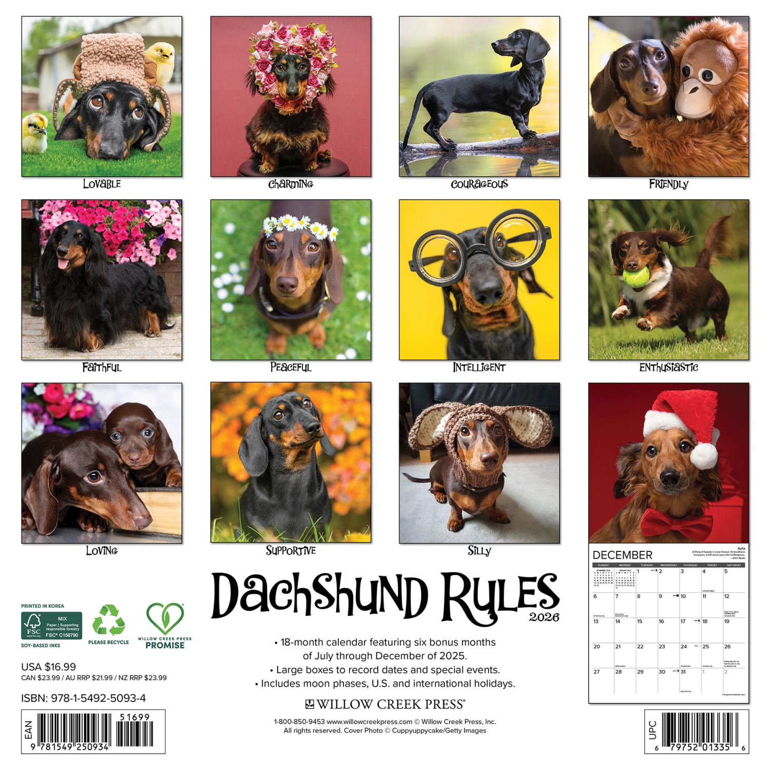 2026 Willow Creek Press Animals Monthly Wall Calendar, 12in x 12in, Dachshund Rules, January To December, 50934 - Image 6