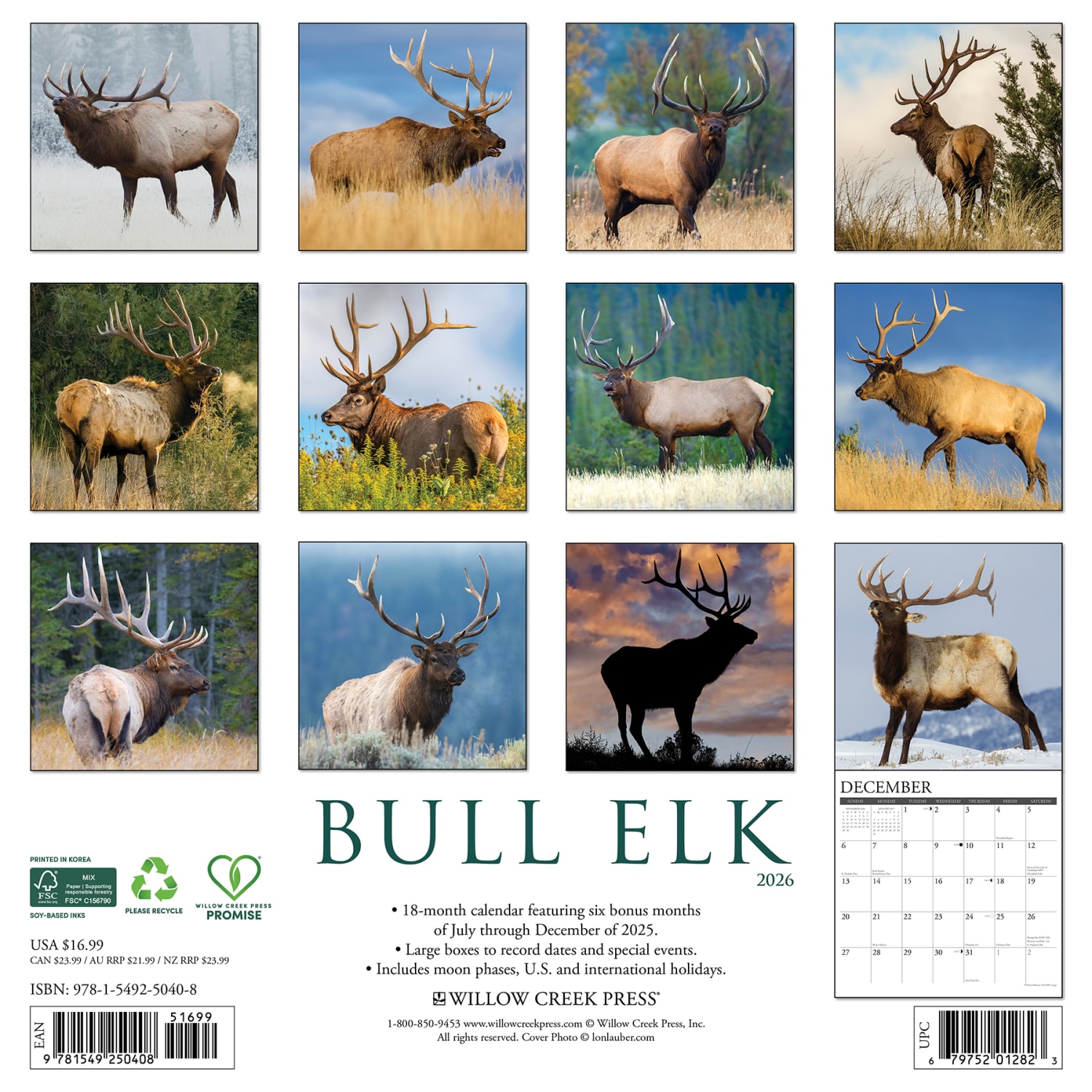 2026 Willow Creek Press Animals Monthly Wall Calendar, 12in x 12in, Bull Elk, January To December, 50408 - Image 6