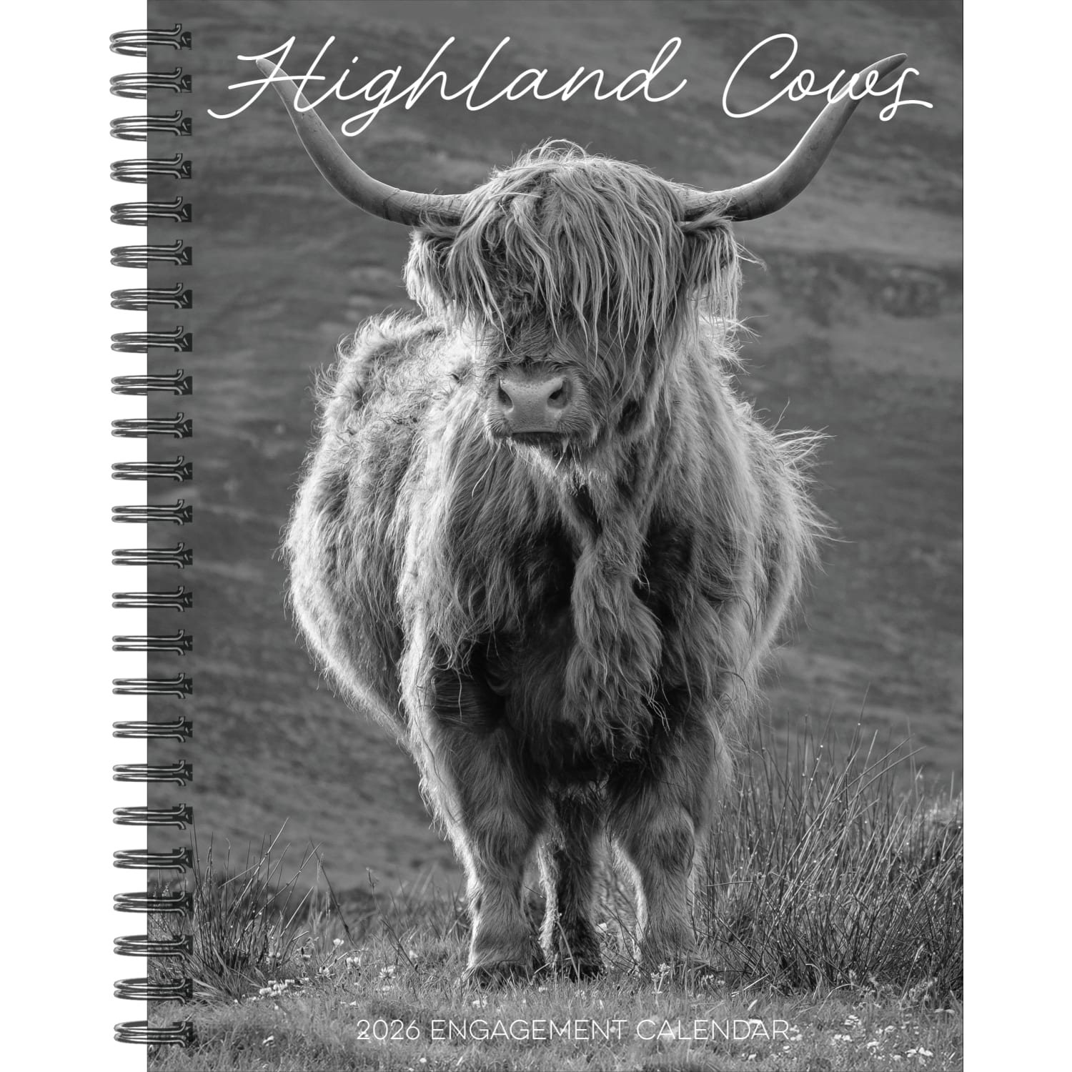 2026 Willow Creek Press Weekly Engagement Calendar, 6-1/2in x 8-1/2in, Highland Cows, January To December, 58480