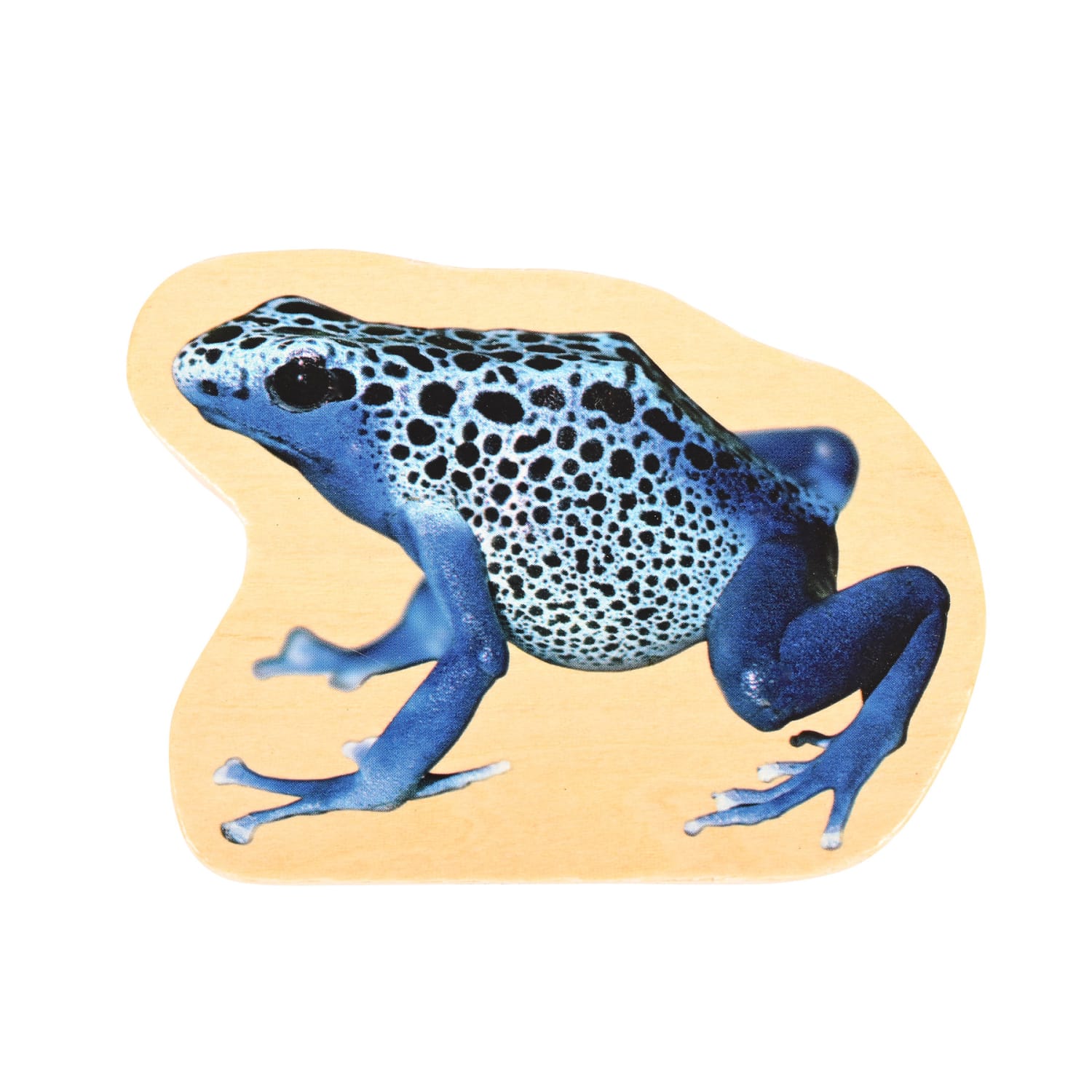 Tickit Wooden Reptile & Amphibian Blocks, Set Of 15 - Image 5