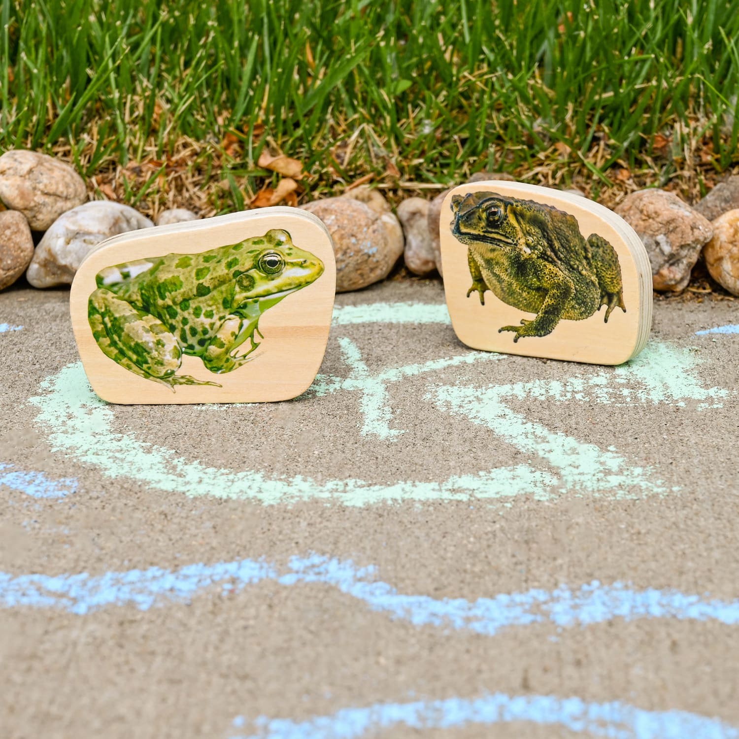 Tickit Wooden Reptile & Amphibian Blocks, Set Of 15 - Image 6