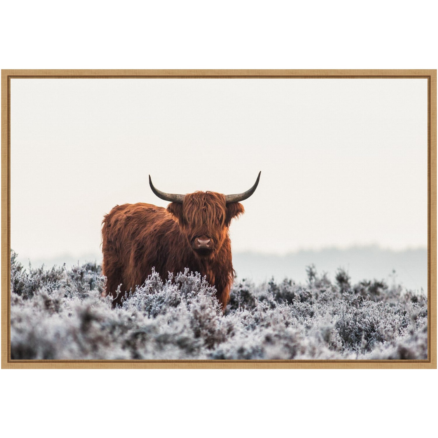 Amanti Art Highlander Horns by Jaap van den Framed Canvas Wall Art Print, 23in x 16in, Maple