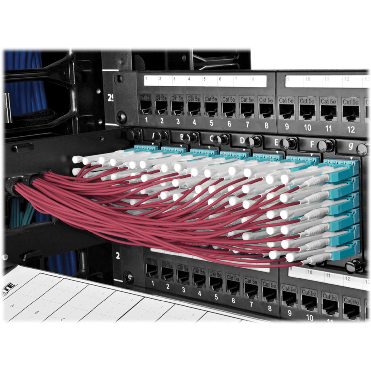 Eaton Tripp Lite Series 40G MTP/MPO to 4xLC Fan-Out OM4 Plenum-Rated Fiber Optic Cable, 40GBASE-SR4, Push/Pull Tabs, Magenta, 2 m - Fiber Optic for Network Device, Switch - Fan-out Cable - 6.56 ft - 1 x MTP/MPO Female Network - 8 x LC Male Network - Image 3