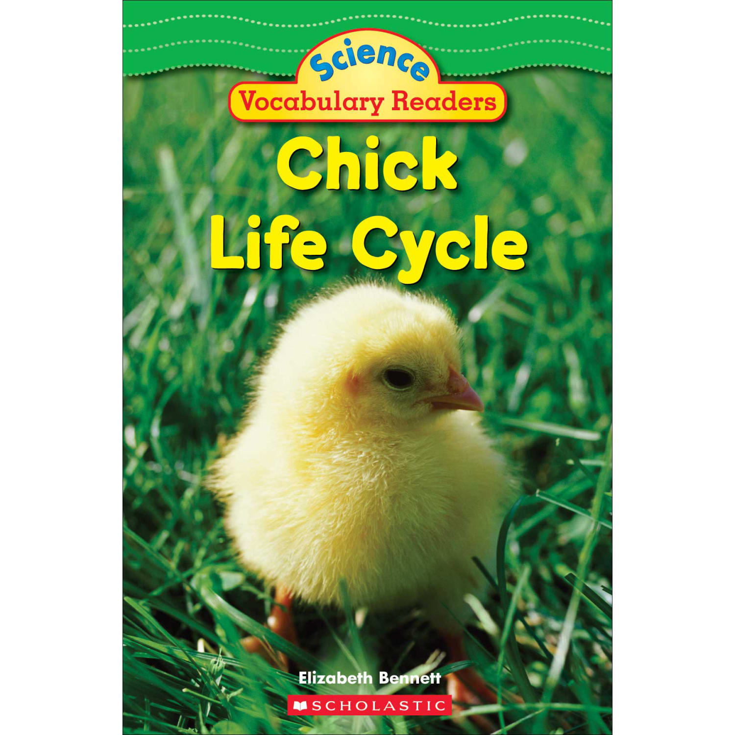 Scholastic Science Vocabulary Life Cycles Readers - Image 5
