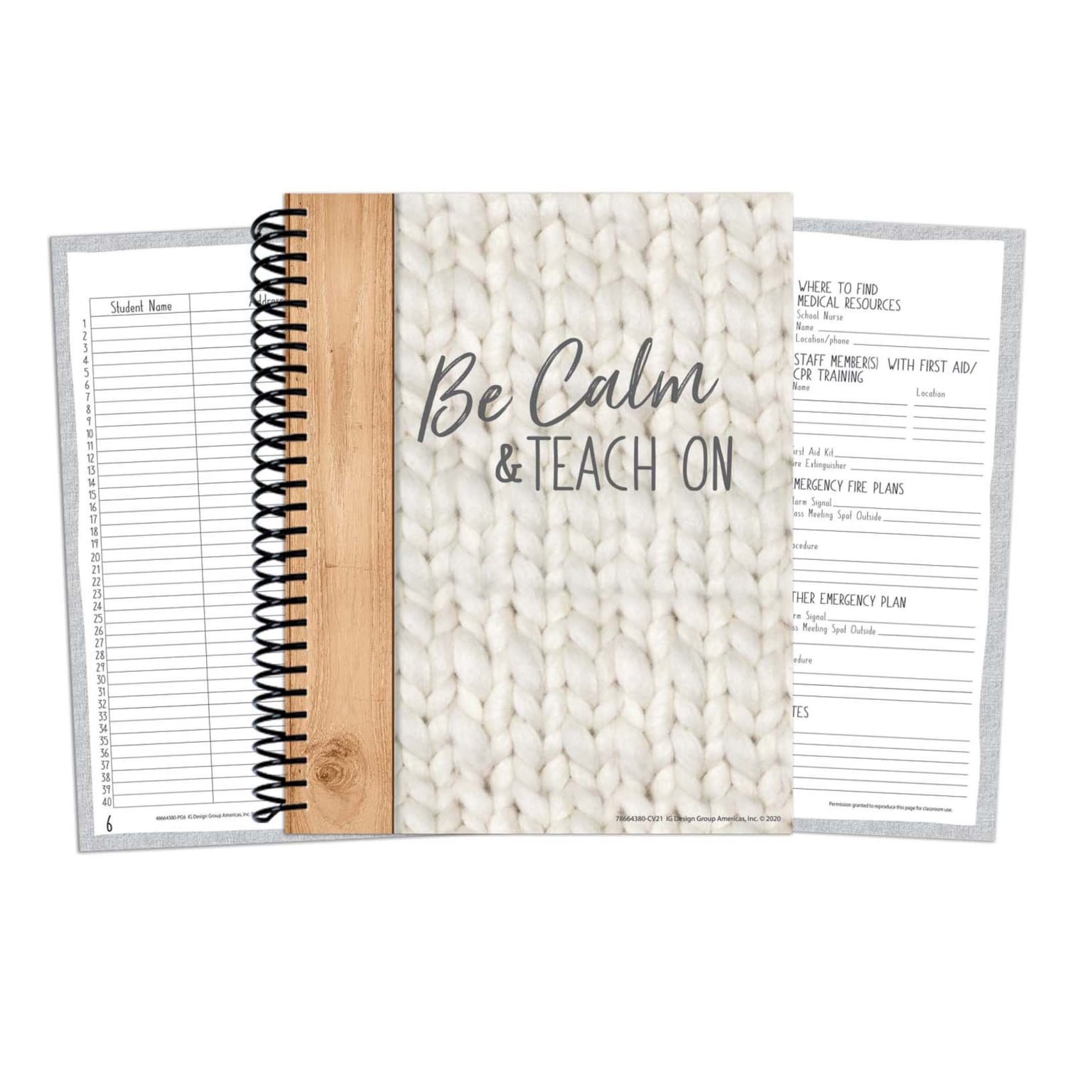 Eureka A Close-Knit Class Lesson Plan & Record Book, Pack Of 2 - Image 3