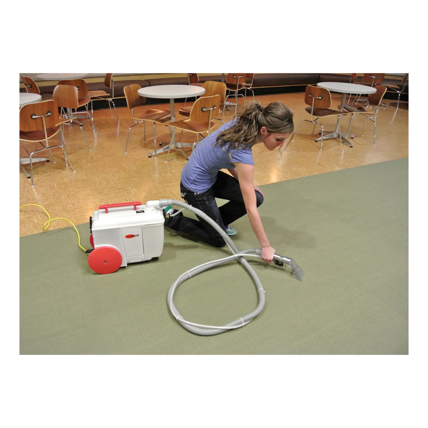 Viper Wolf130 Bagless Carpet Spotter - Image 4